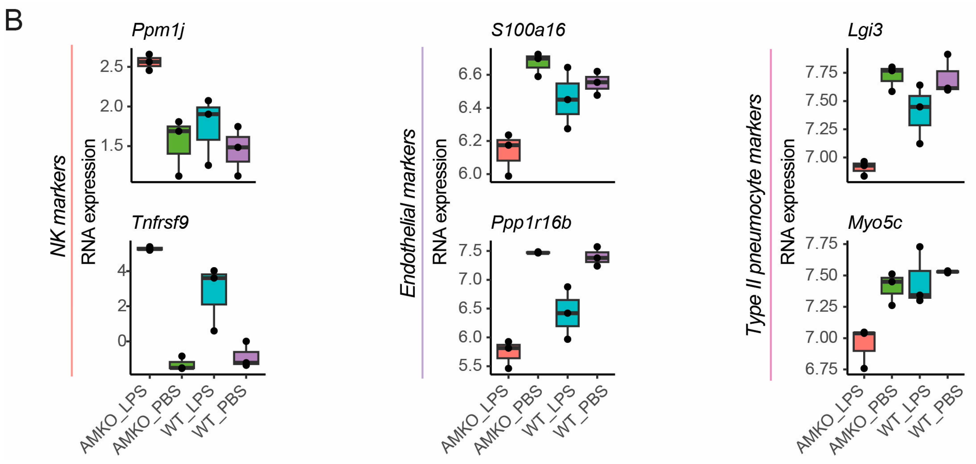 Genes 15 00806 g004b Genes 15 00806 g004b