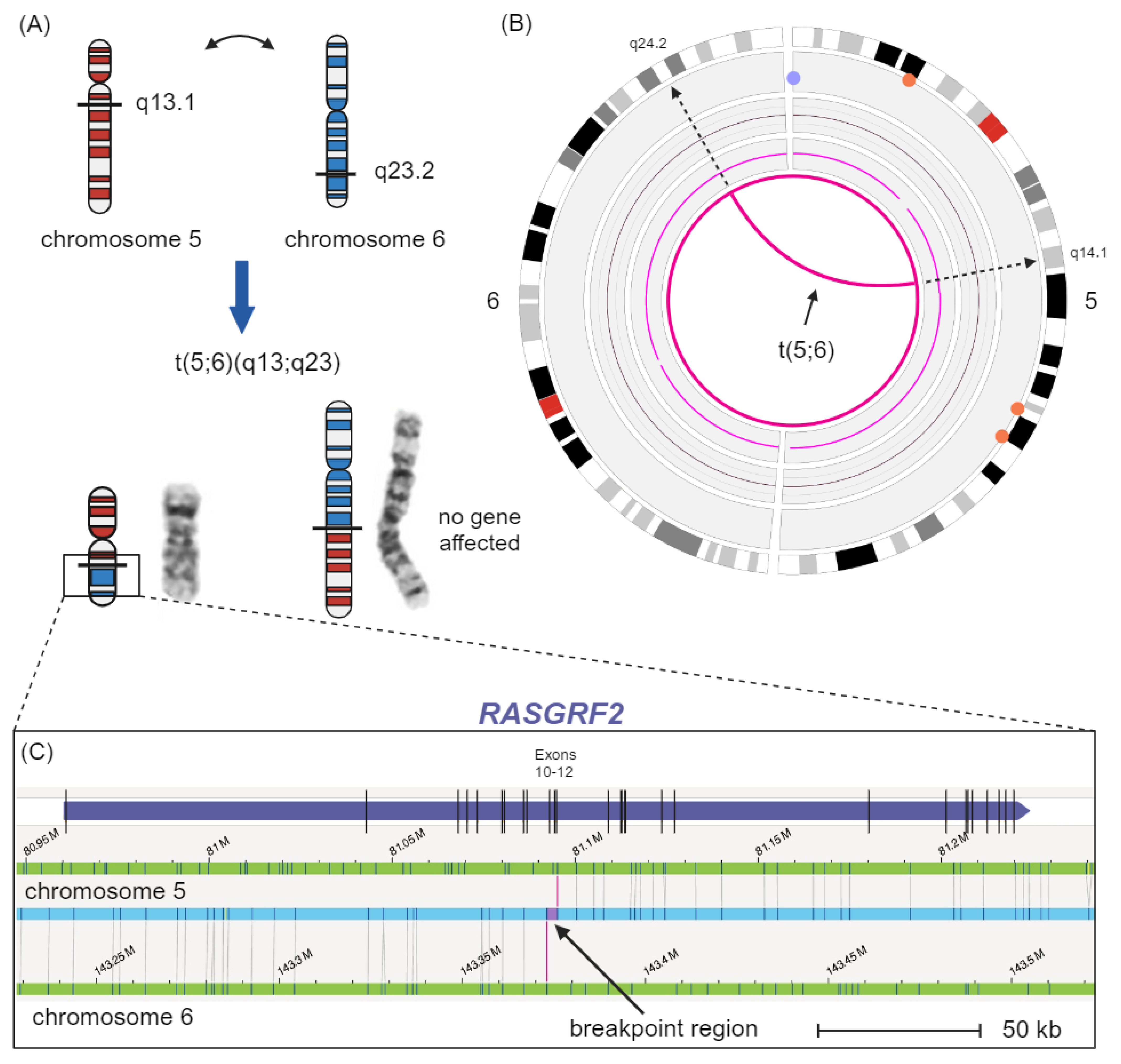 Genes 15 00809 g001 Genes 15 00809 g001