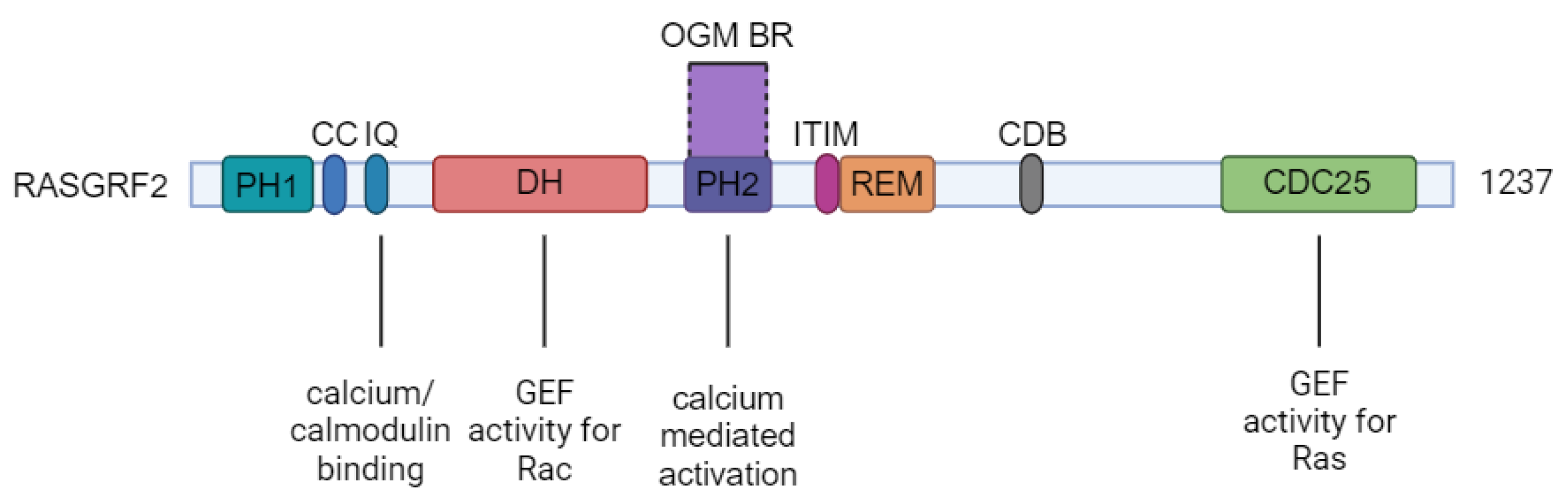 Genes 15 00809 g002 Genes 15 00809 g002