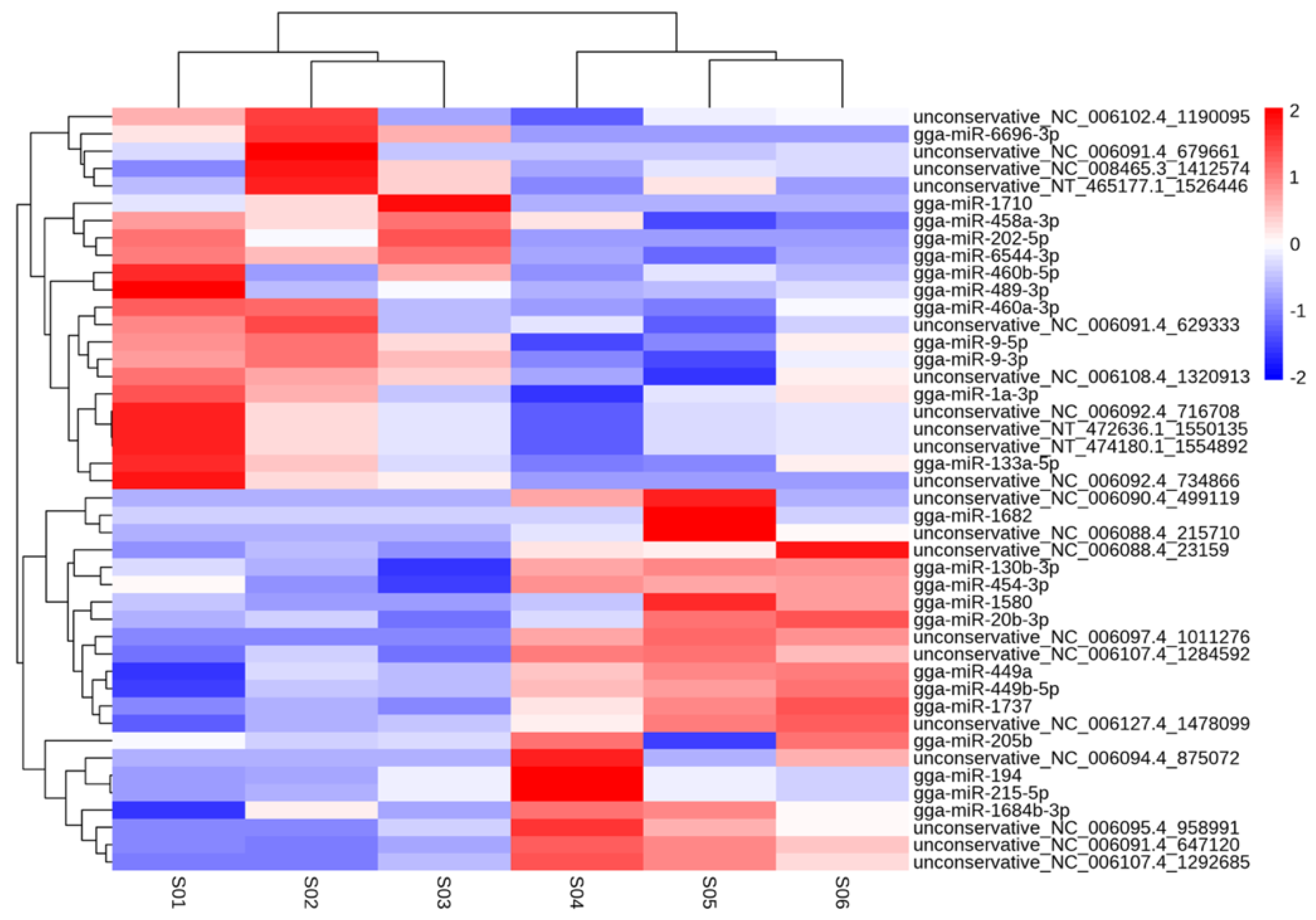 Genes 15 00811 g001 Genes 15 00811 g001