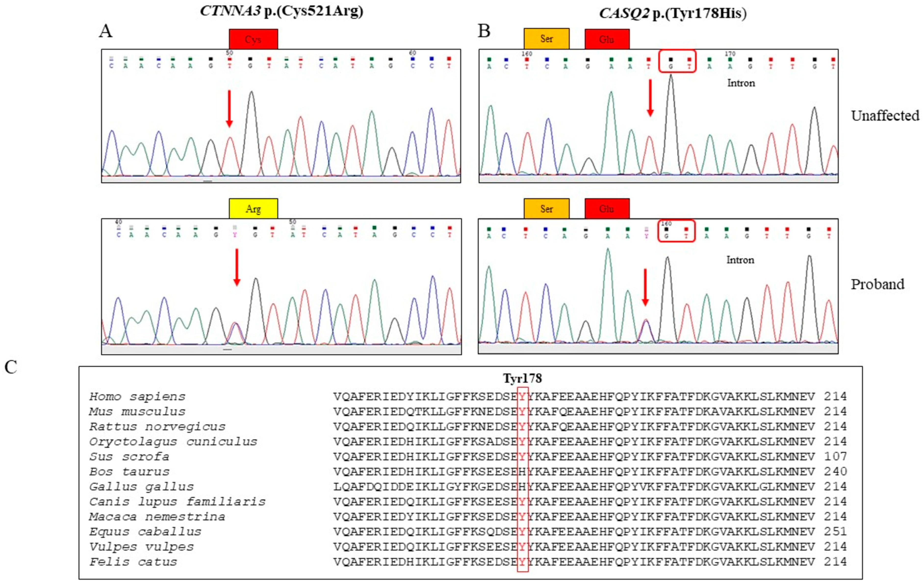 Genes 15 00822 g003 Genes 15 00822 g003