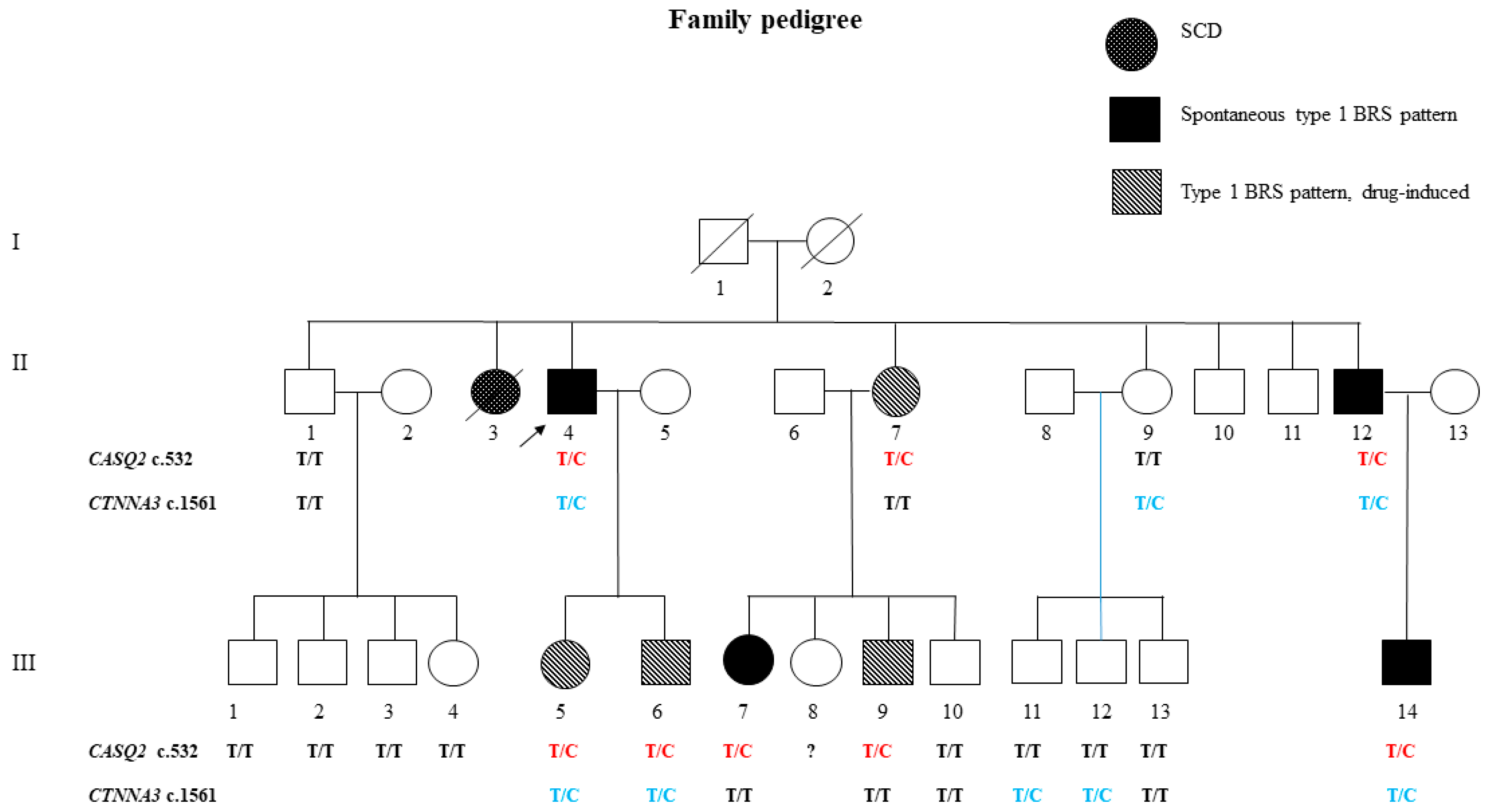 Genes 15 00822 g004 Genes 15 00822 g004
