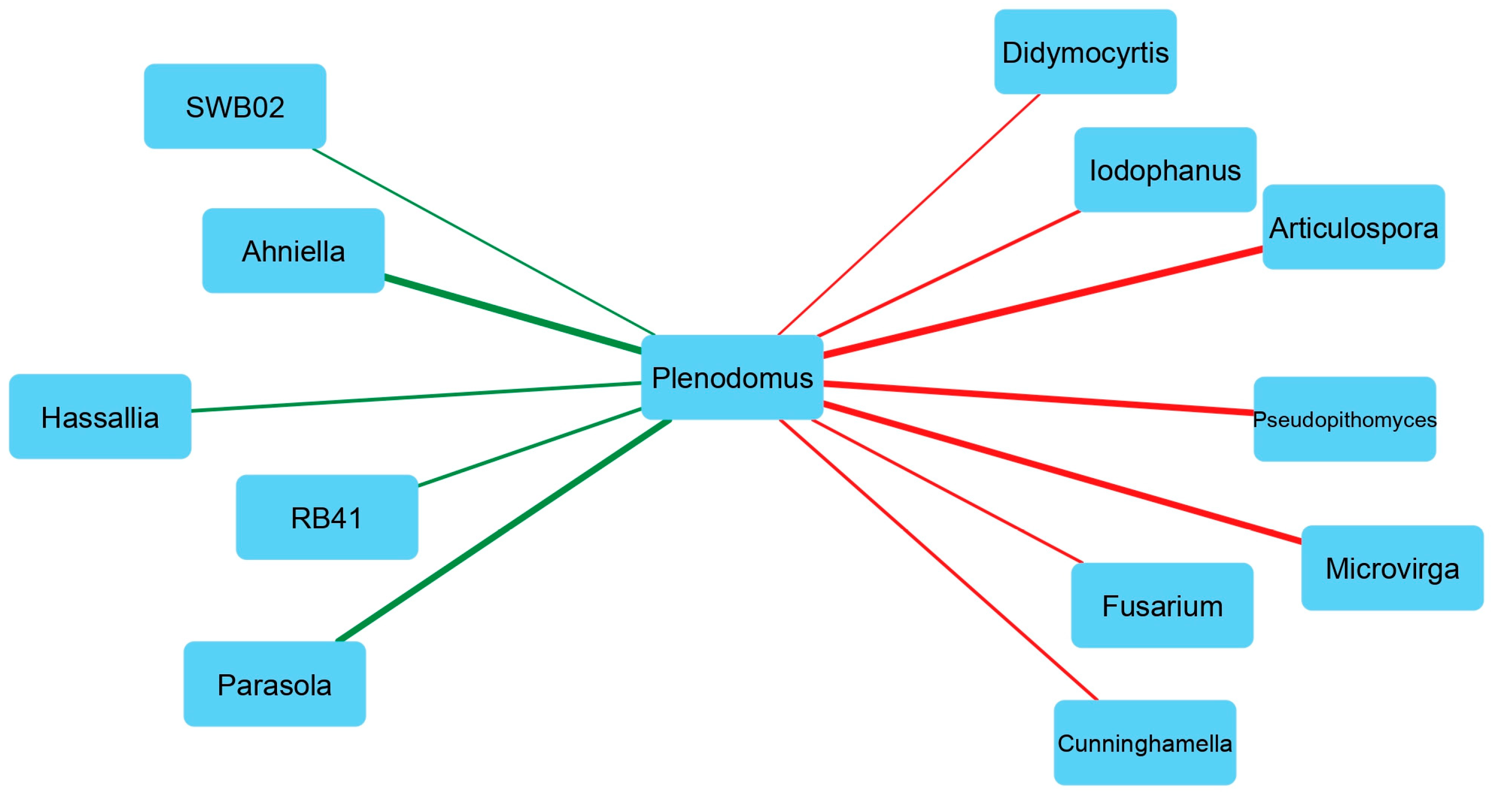 Genes 15 00824 g007 Genes 15 00824 g007