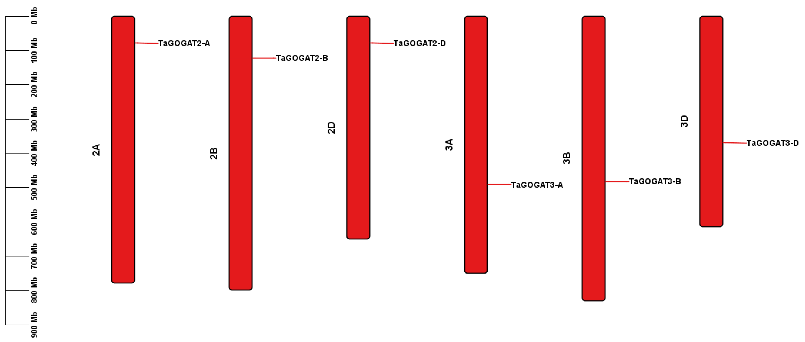 Genes 15 00827 g001 Genes 15 00827 g001