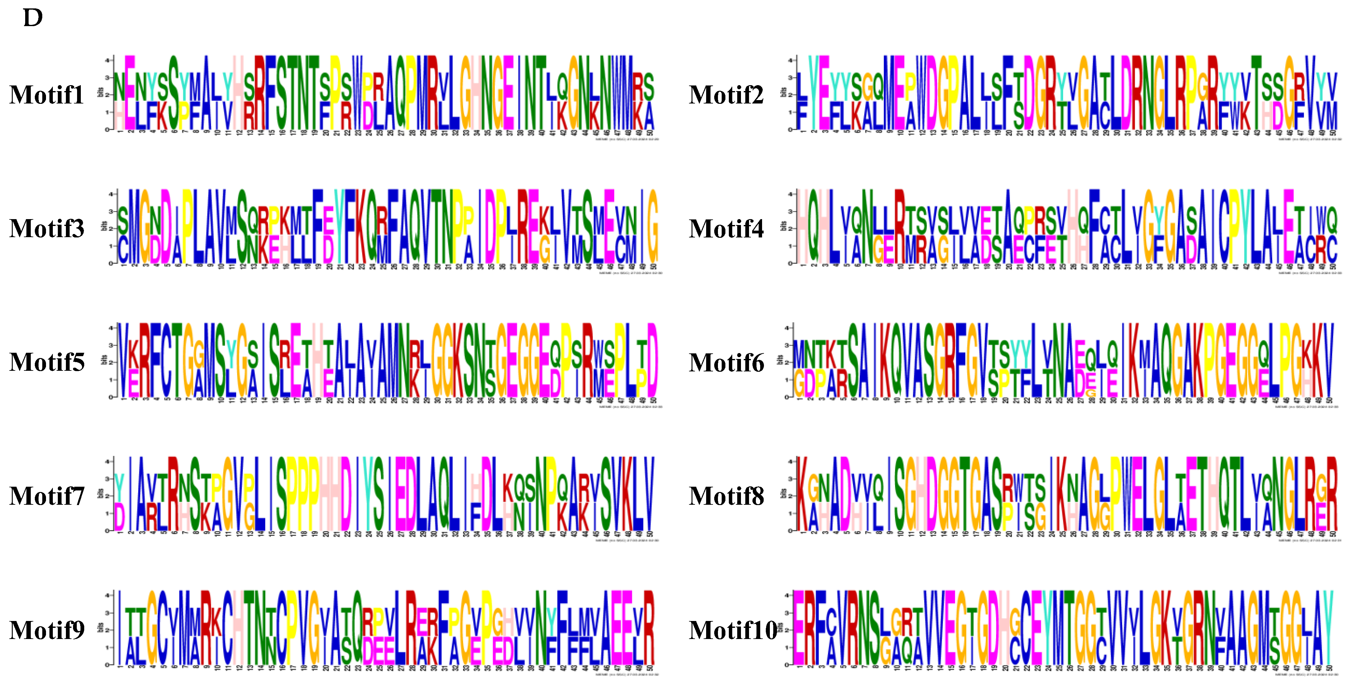 Genes 15 00827 g002b Genes 15 00827 g002b