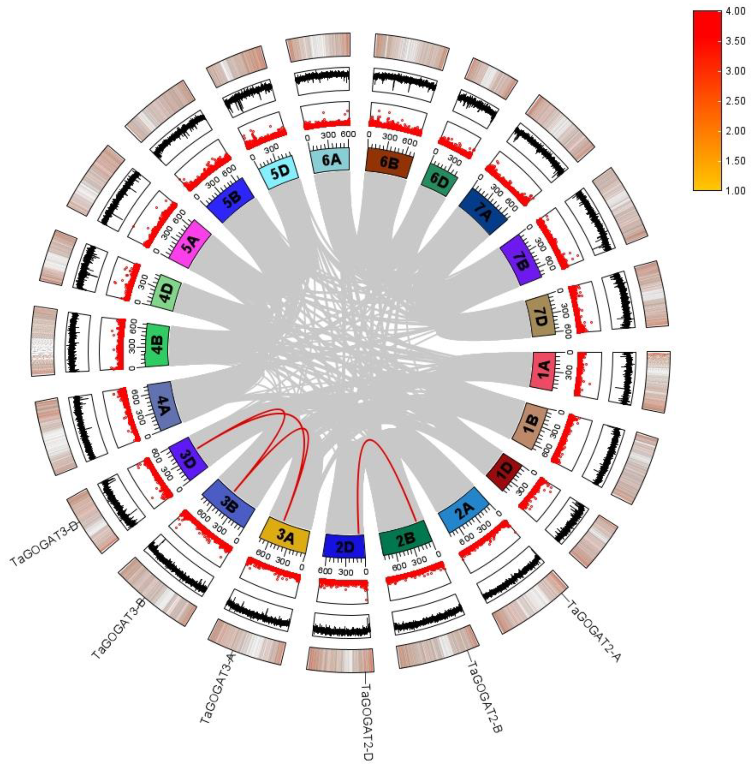 Genes 15 00827 g003 Genes 15 00827 g003