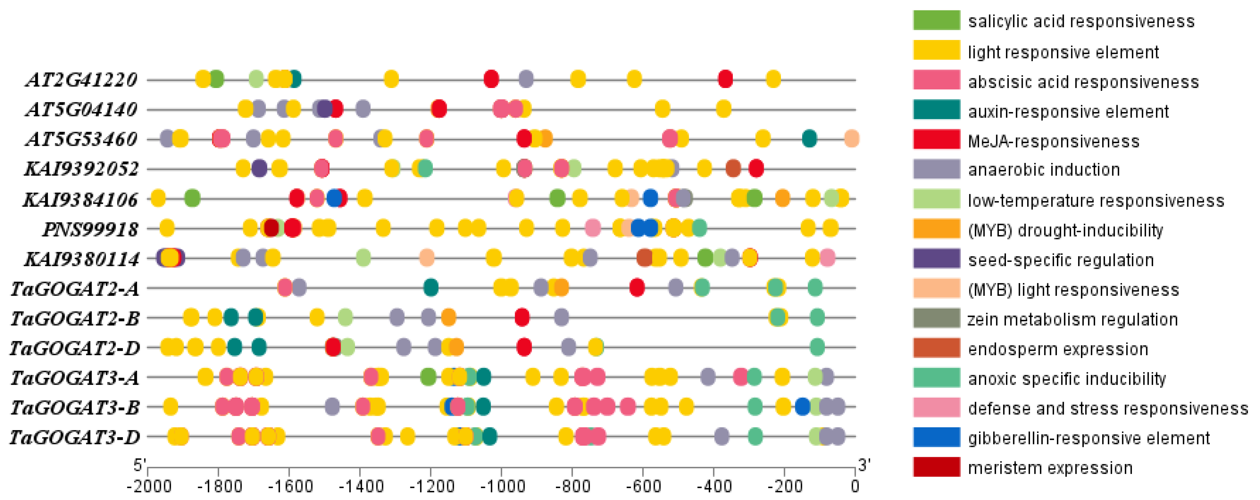 Genes 15 00827 g005 Genes 15 00827 g005