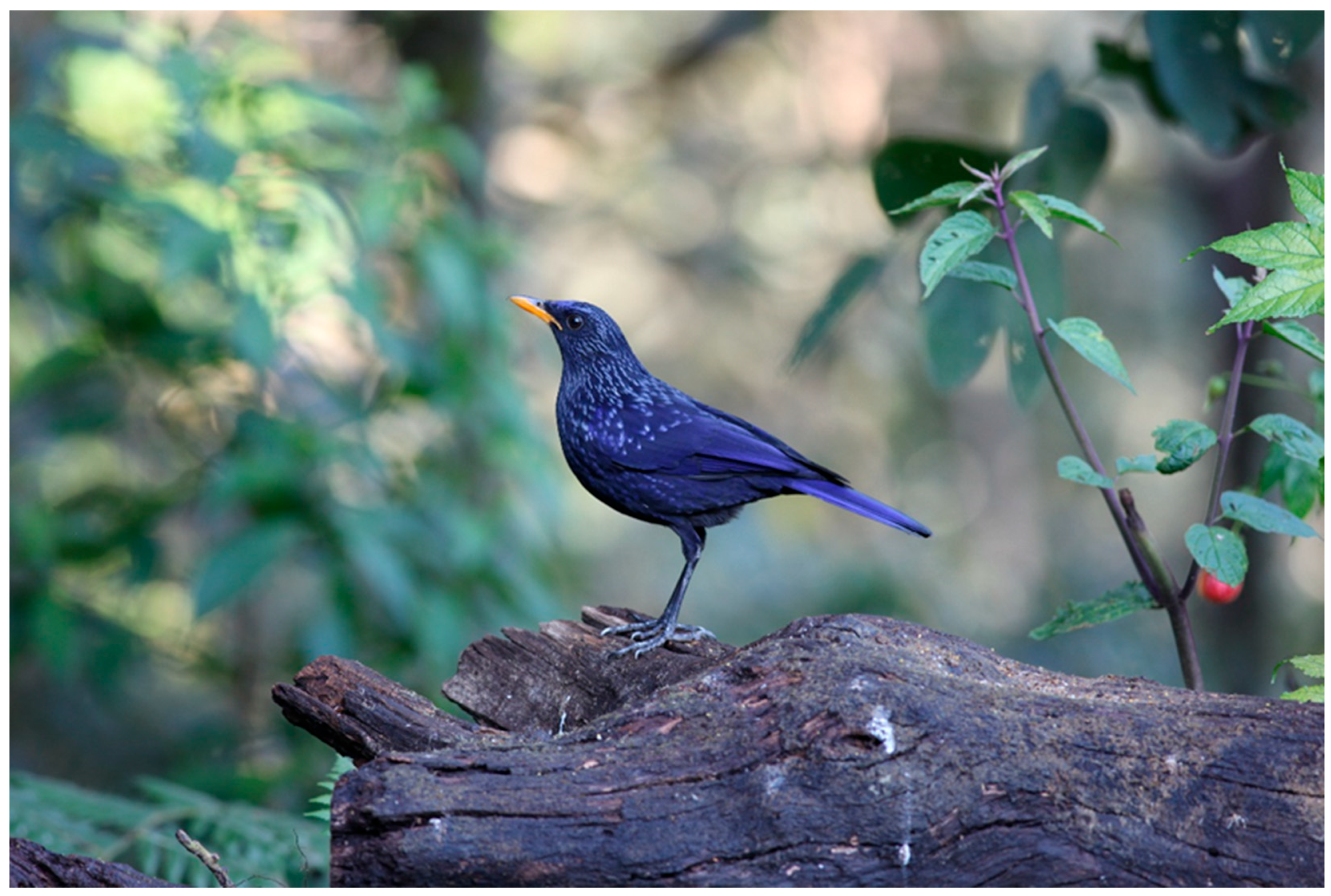 Genes 15 00830 g001 Genes 15 00830 g001