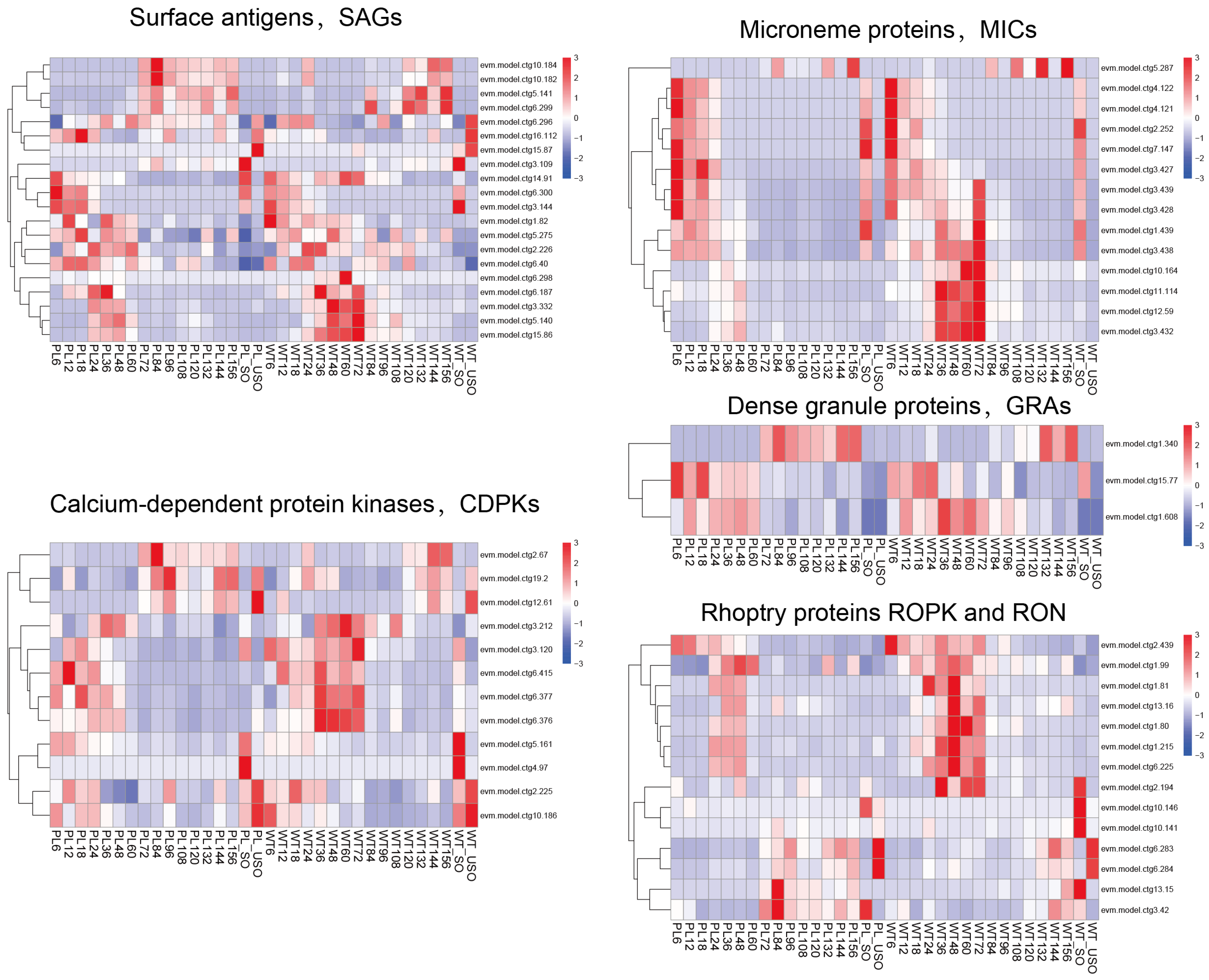 Genes 15 00831 g002 Genes 15 00831 g002