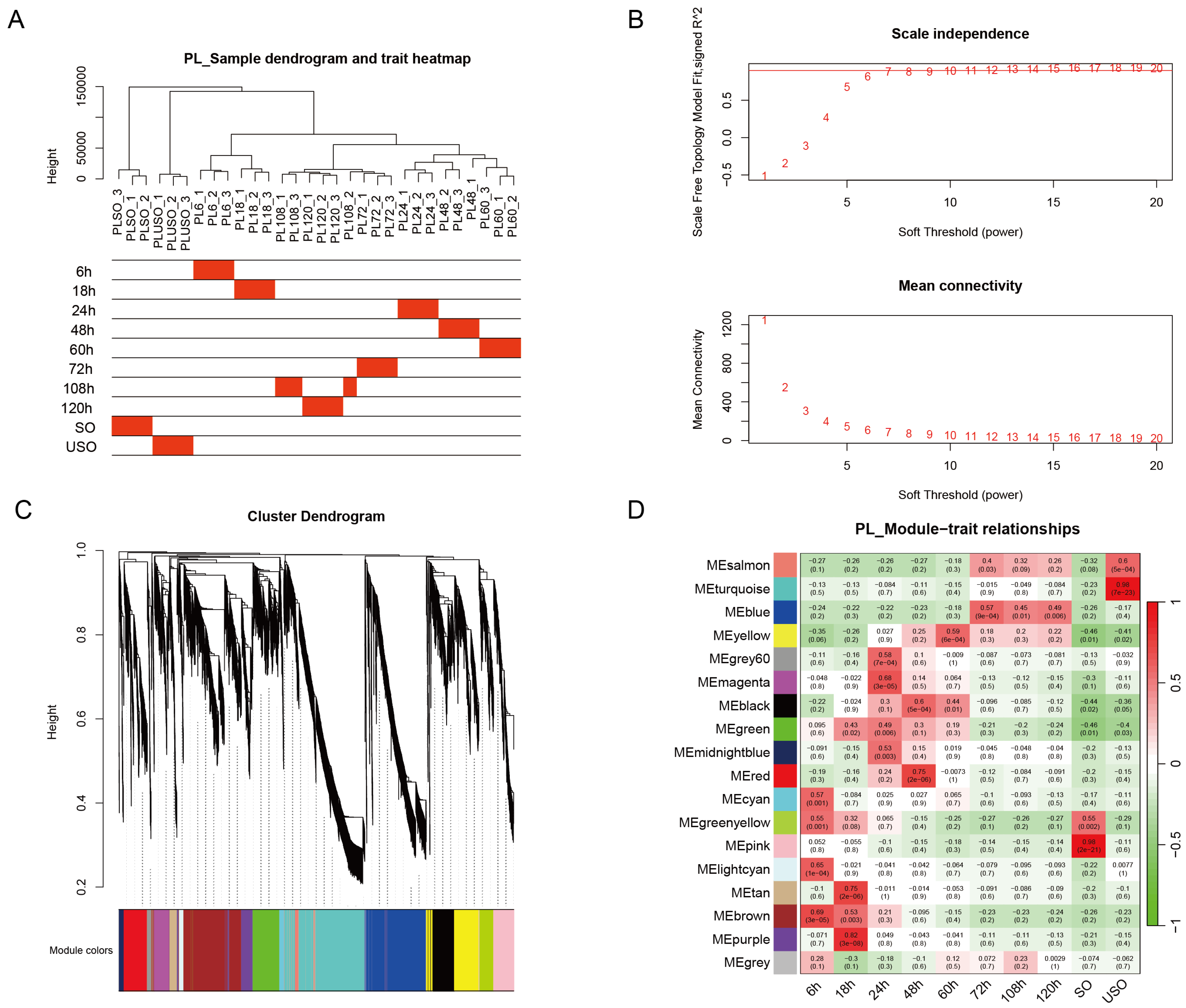 Genes 15 00831 g004 Genes 15 00831 g004