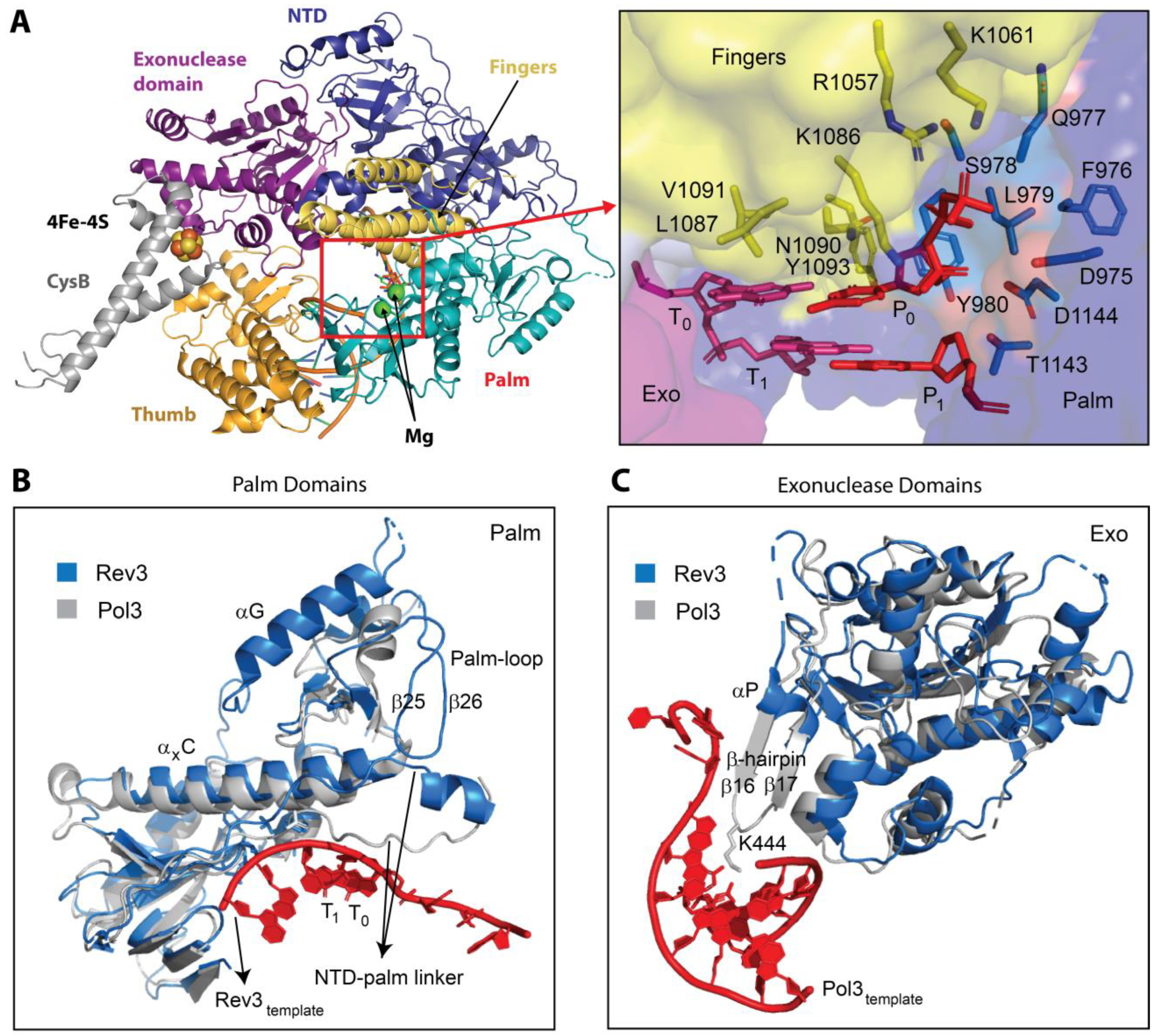 Genes 15 00832 g003 Genes 15 00832 g003