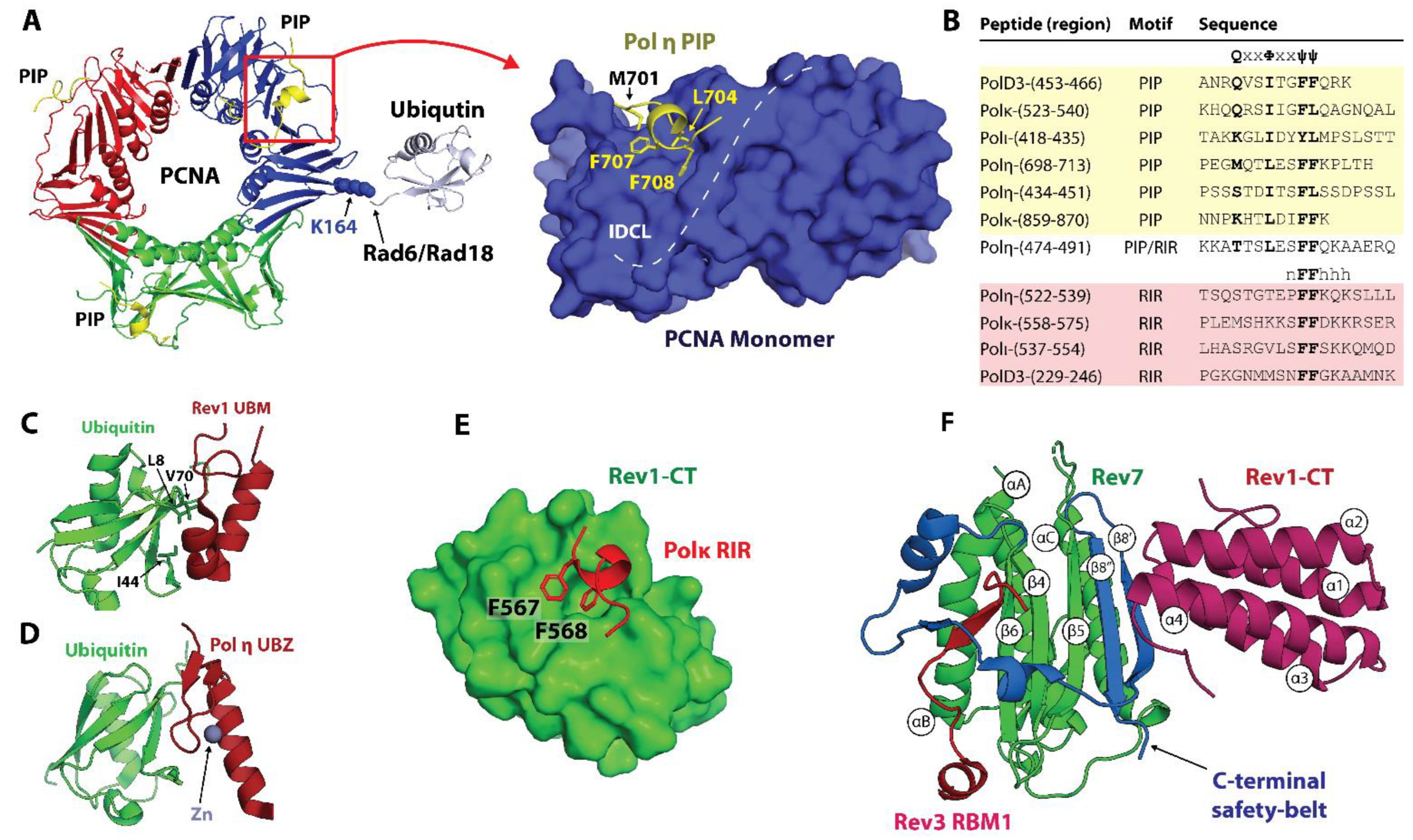 Genes 15 00832 g004 Genes 15 00832 g004