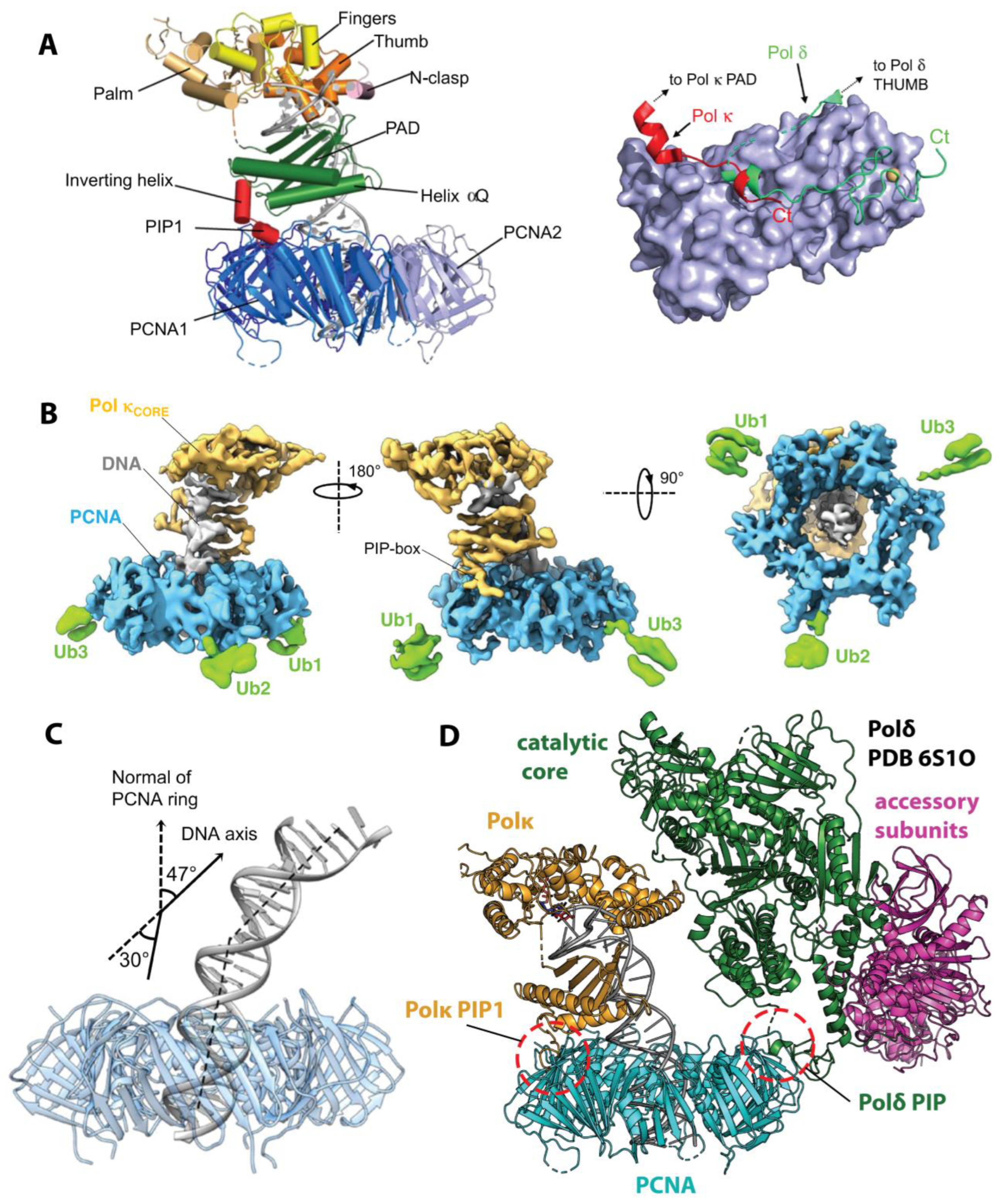 Genes 15 00832 g005 Genes 15 00832 g005