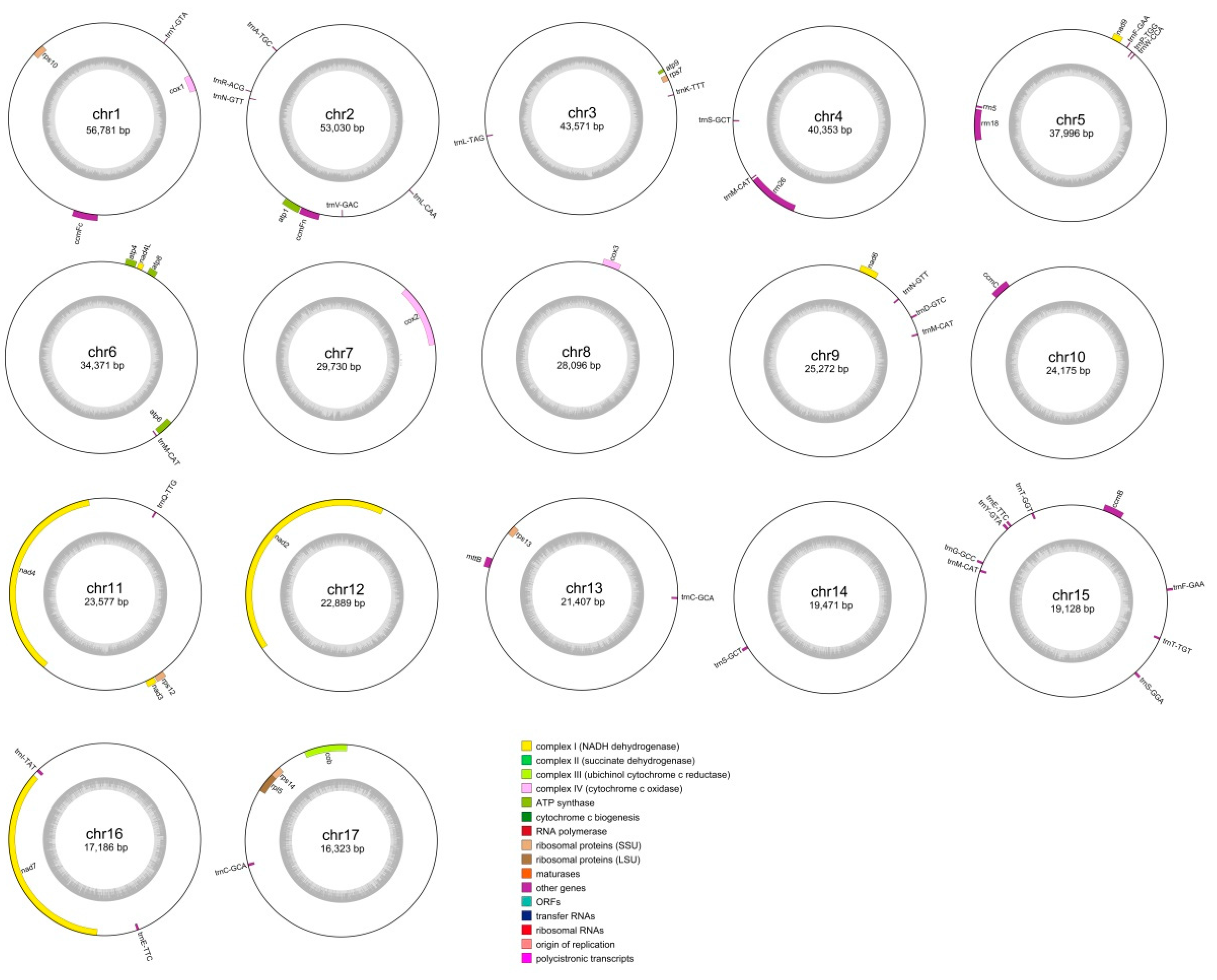 Genes 15 00834 g001 Genes 15 00834 g001
