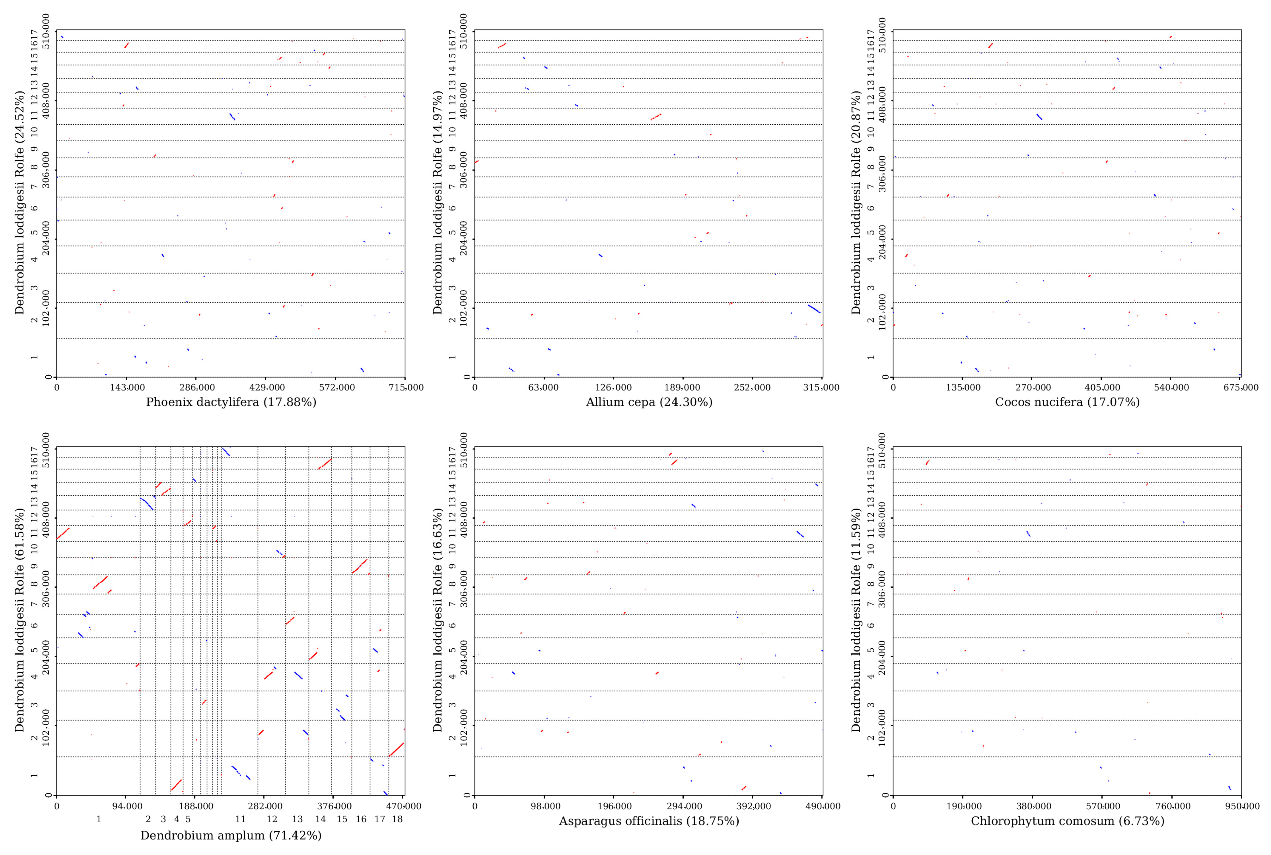 Genes 15 00834 g006 Genes 15 00834 g006