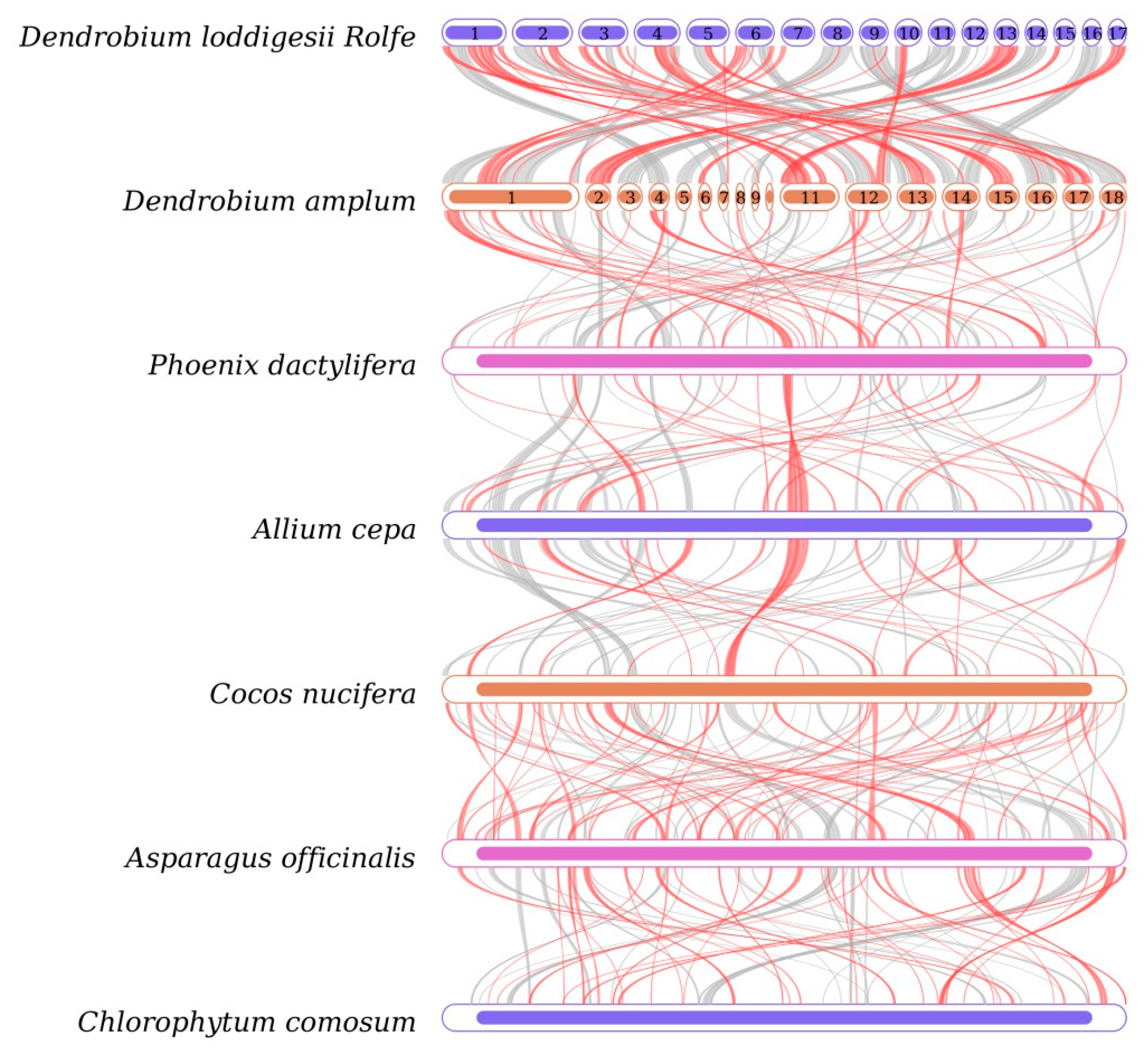 Genes 15 00834 g007 Genes 15 00834 g007