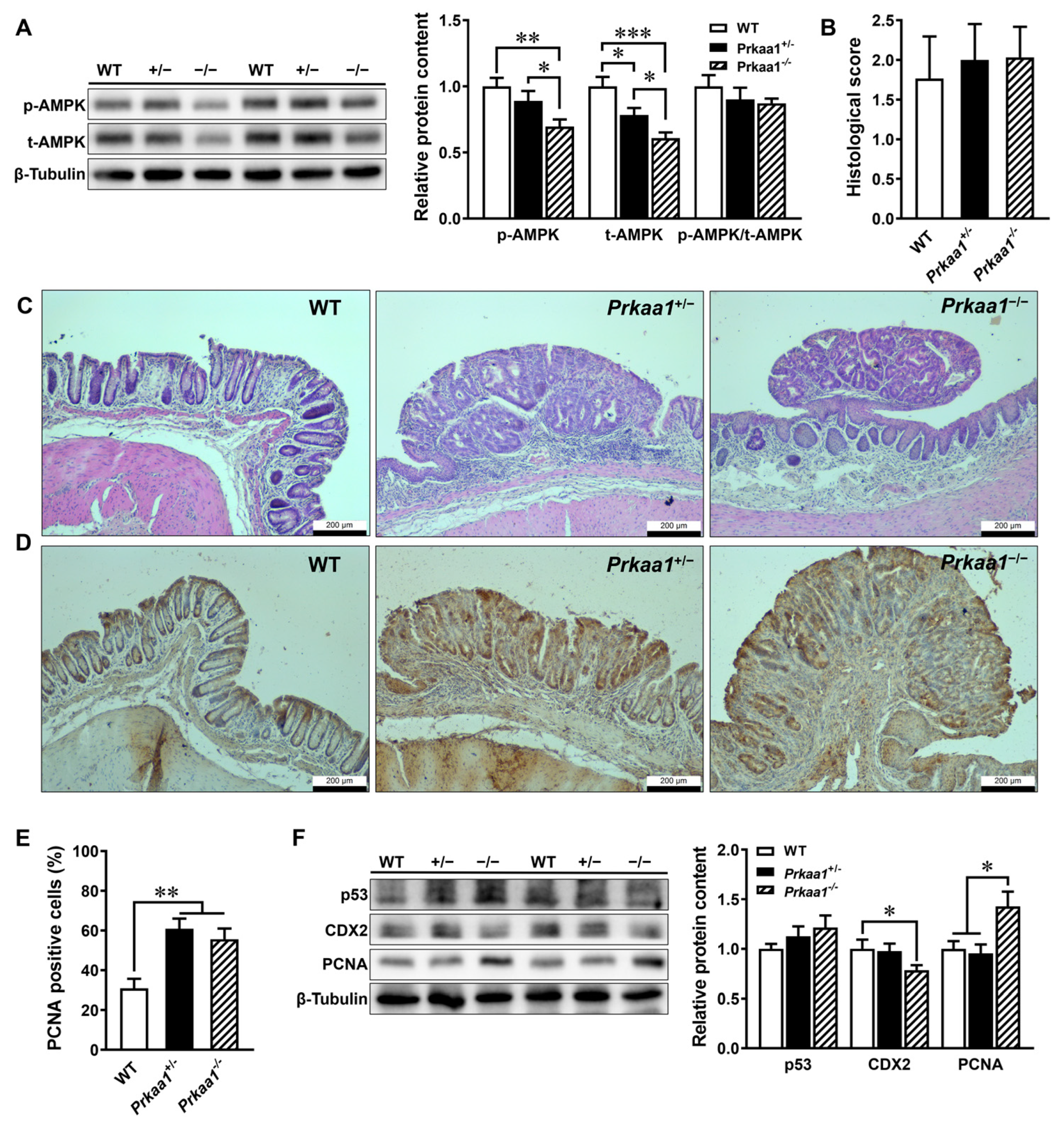 Genes 15 00835 g002