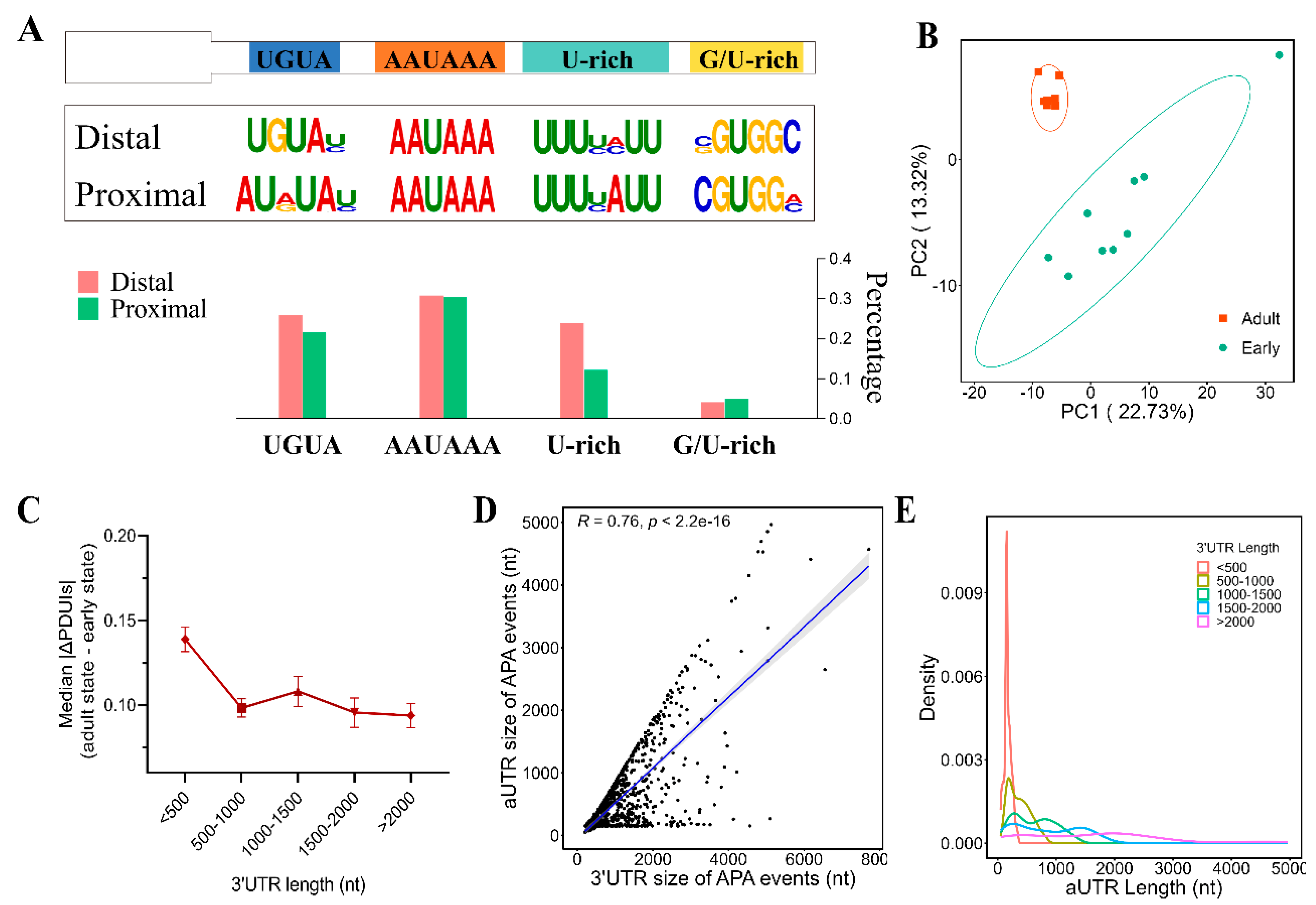 Genes 15 00837 g002 Genes 15 00837 g002