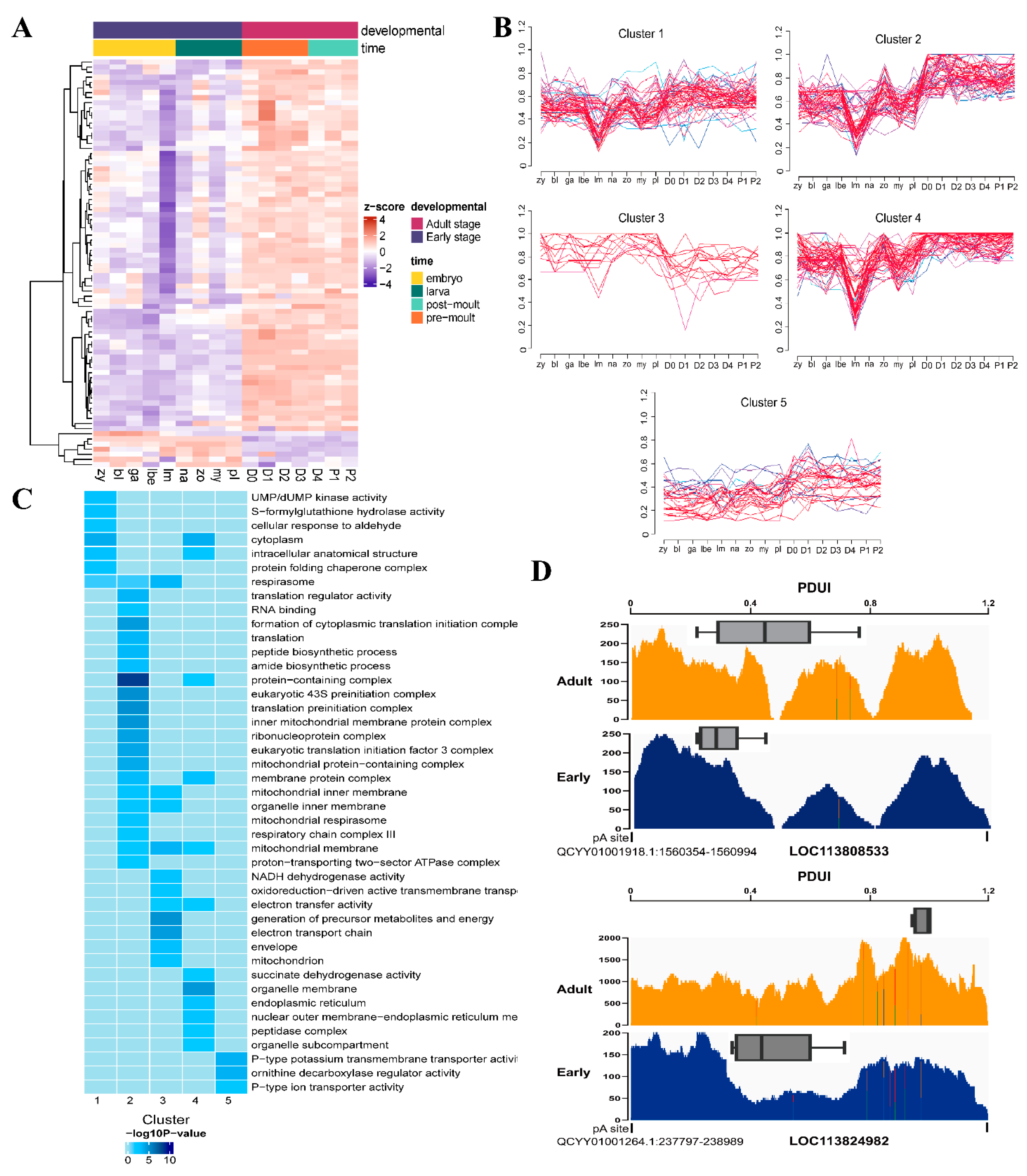 Genes 15 00837 g004 Genes 15 00837 g004