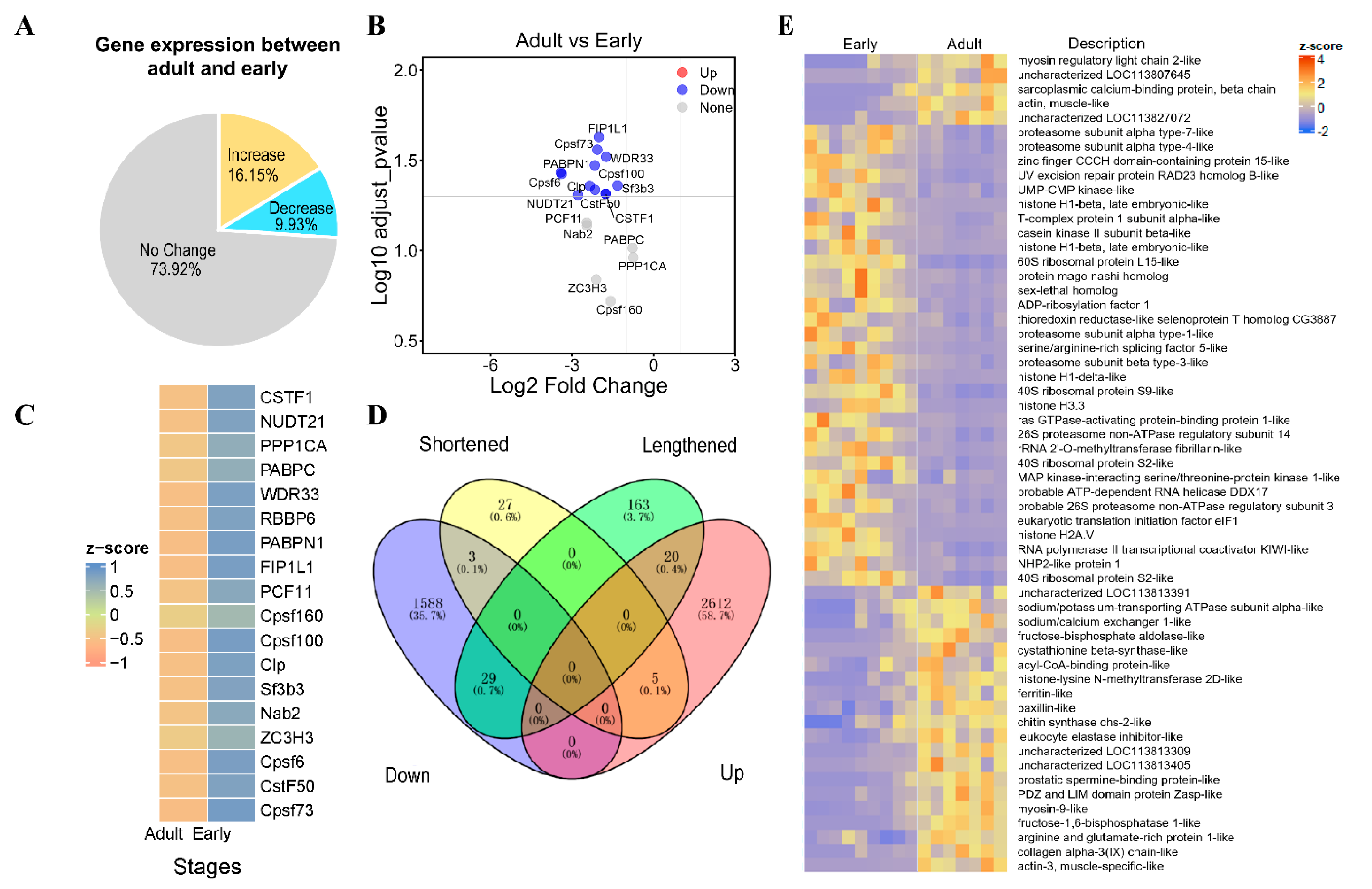 Genes 15 00837 g005 Genes 15 00837 g005