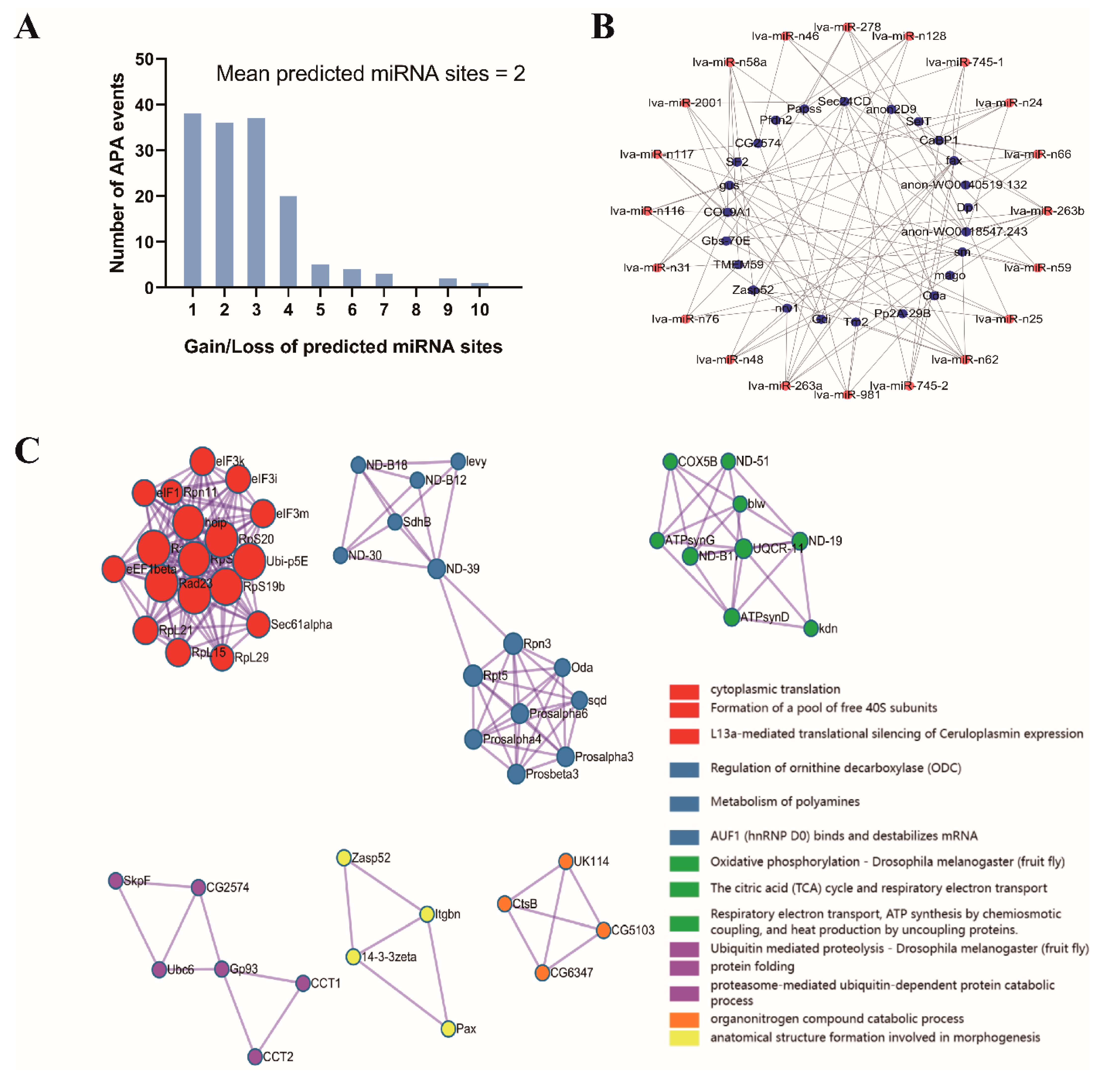 Genes 15 00837 g006 Genes 15 00837 g006