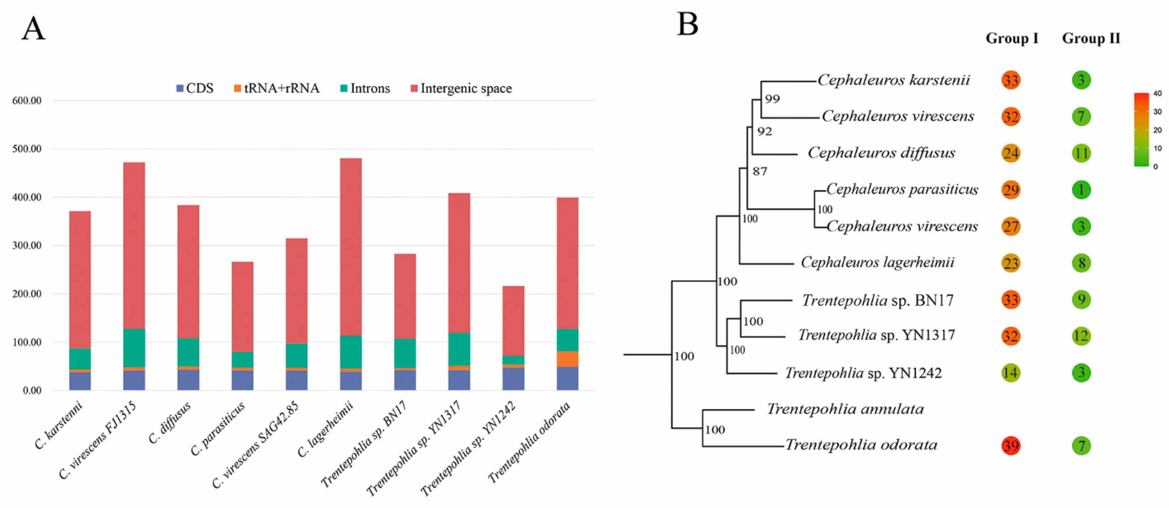 Genes 15 00839 g003 Genes 15 00839 g003