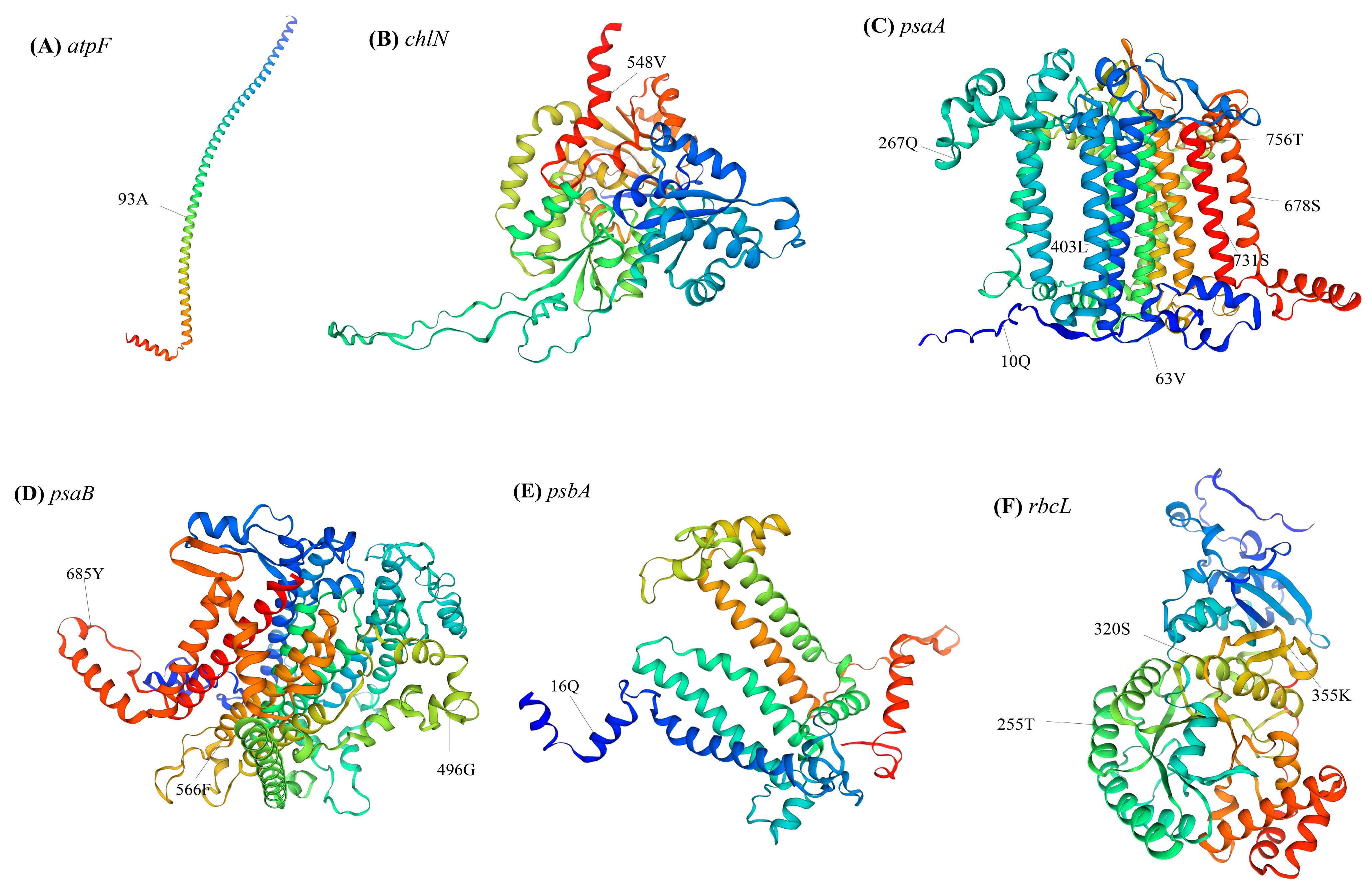 Genes 15 00839 g009 Genes 15 00839 g009