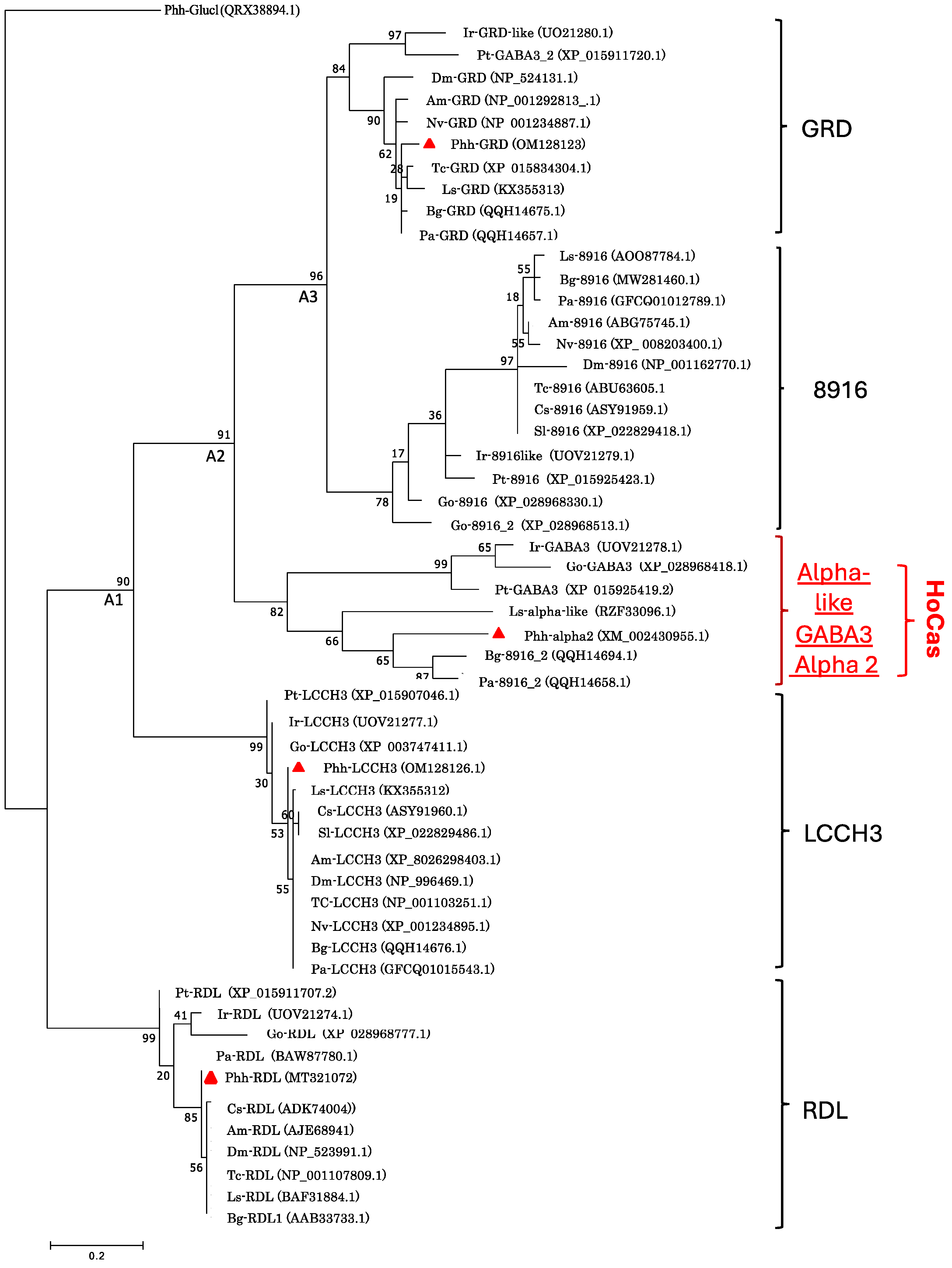 Genes 15 00844 g002 Genes 15 00844 g002
