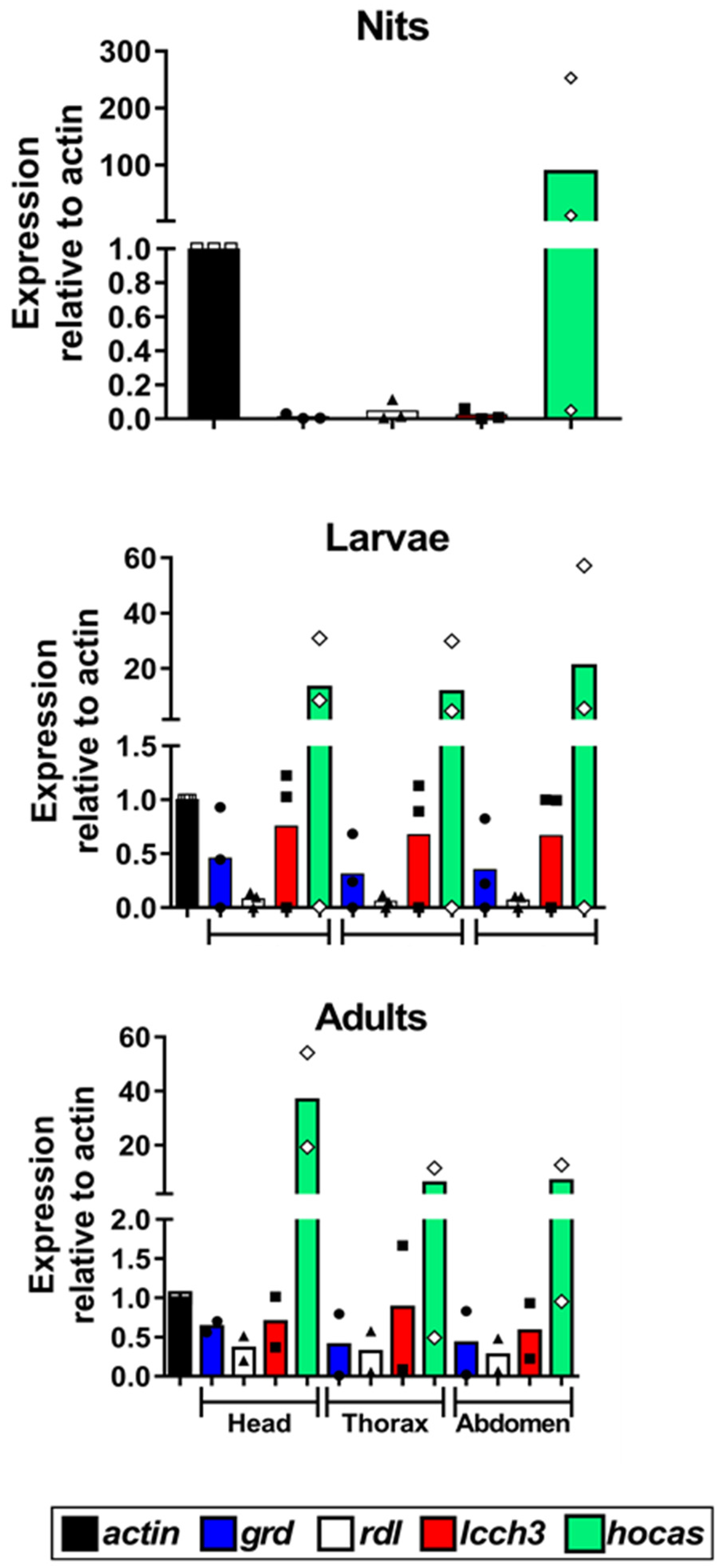 Genes 15 00844 g005 Genes 15 00844 g005