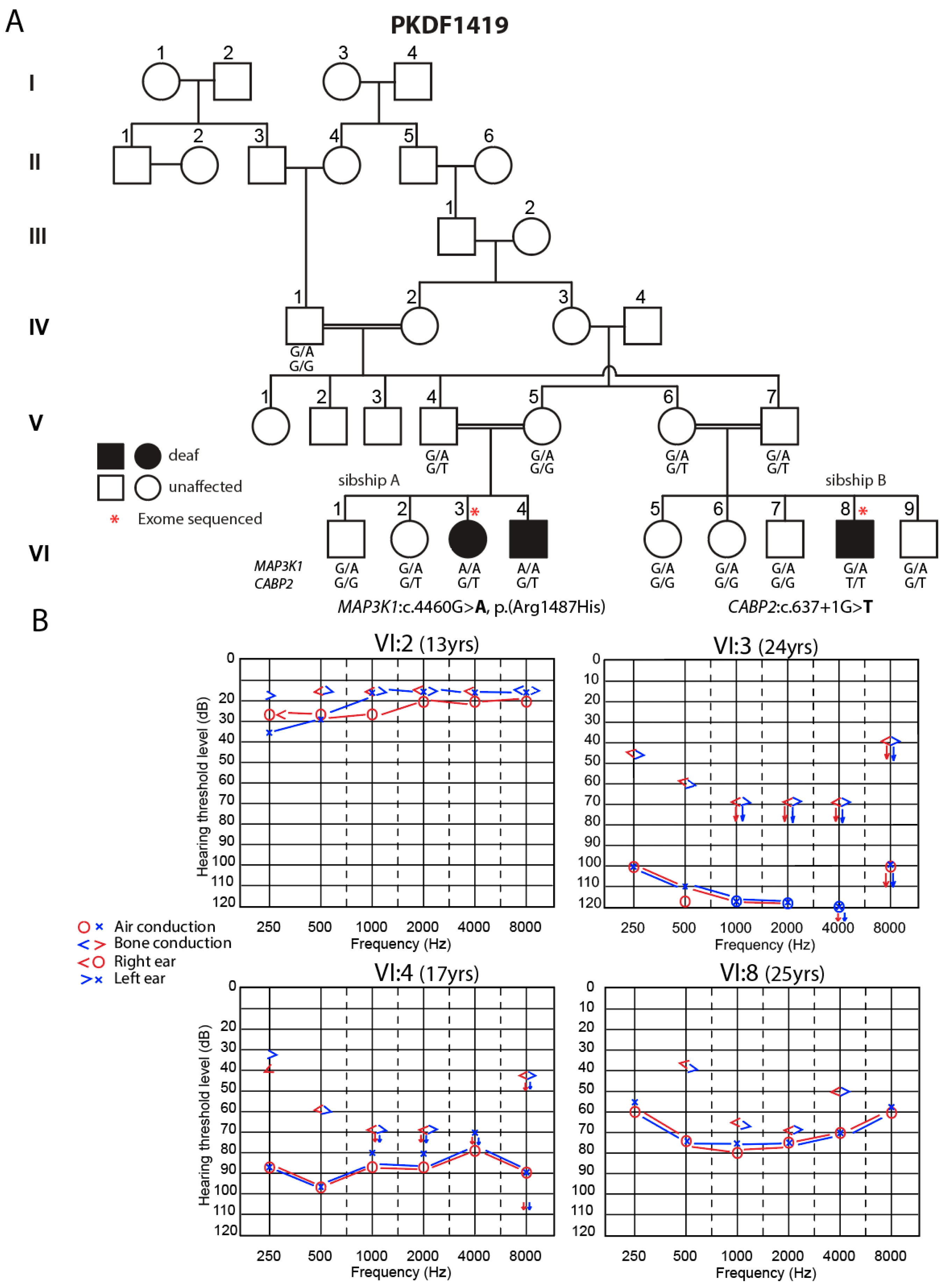 Genes 15 00845 g002 Genes 15 00845 g002