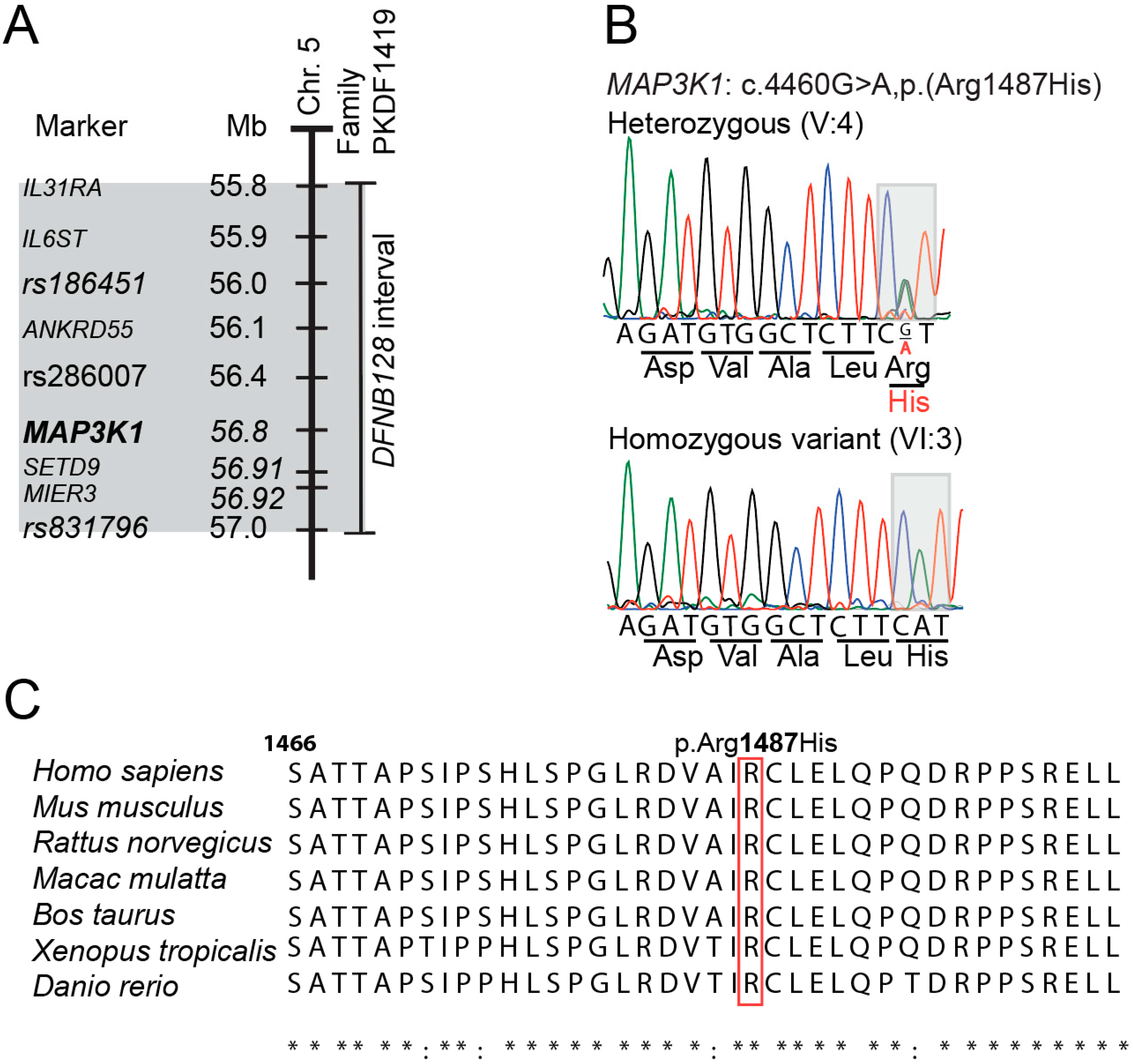 Genes 15 00845 g003 Genes 15 00845 g003