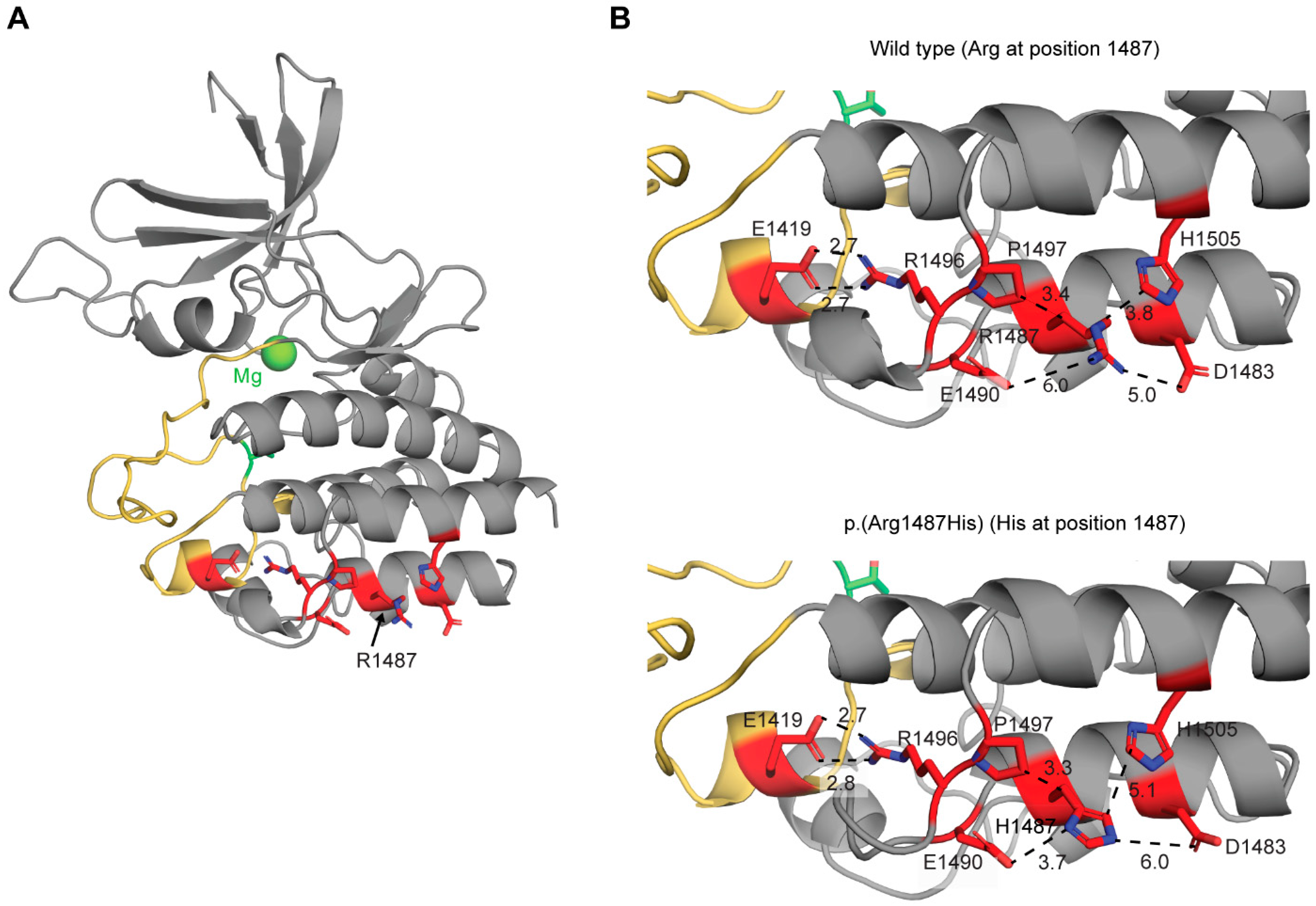 Genes 15 00845 g004 Genes 15 00845 g004