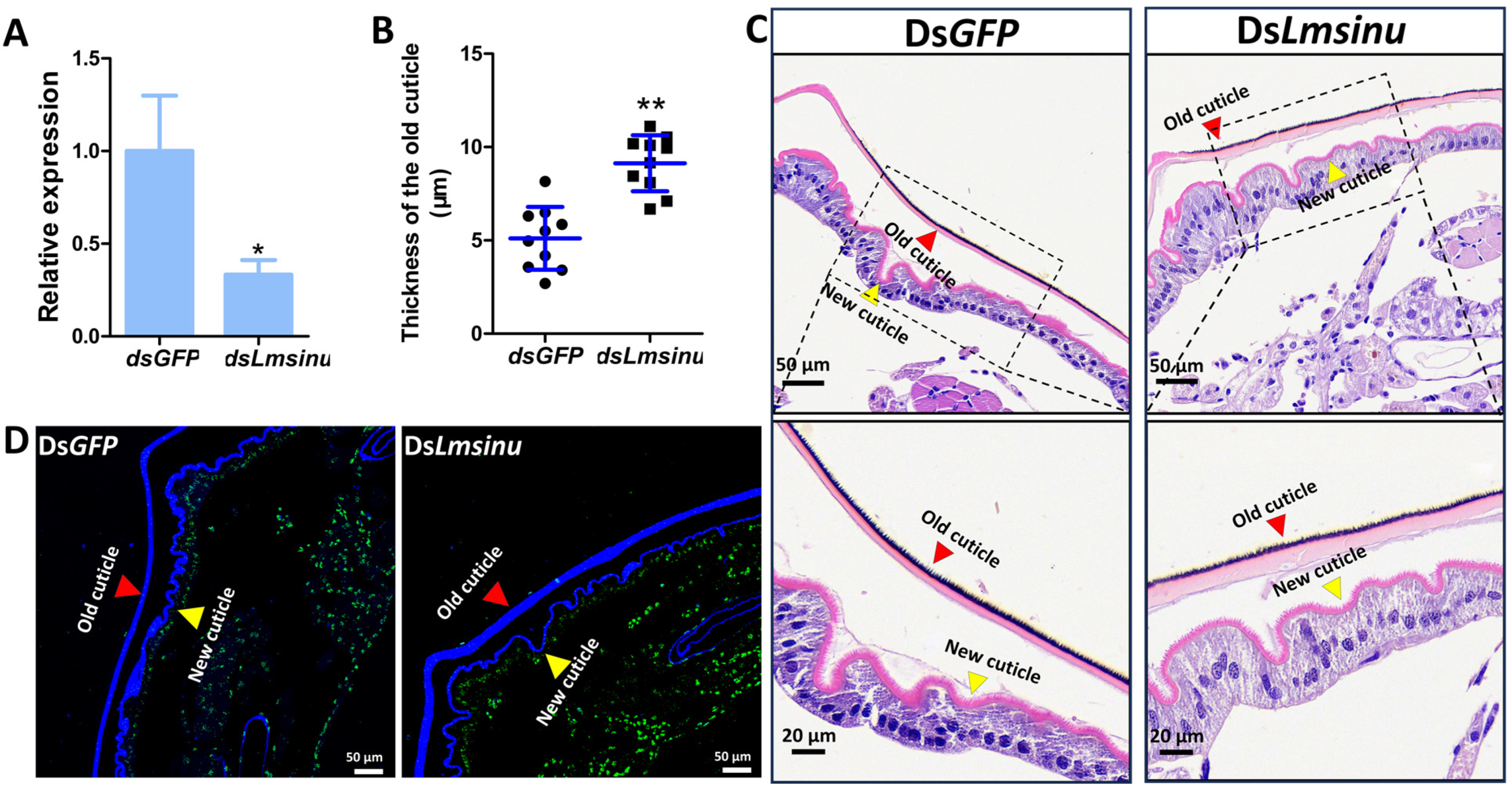 Genes 15 00850 g004