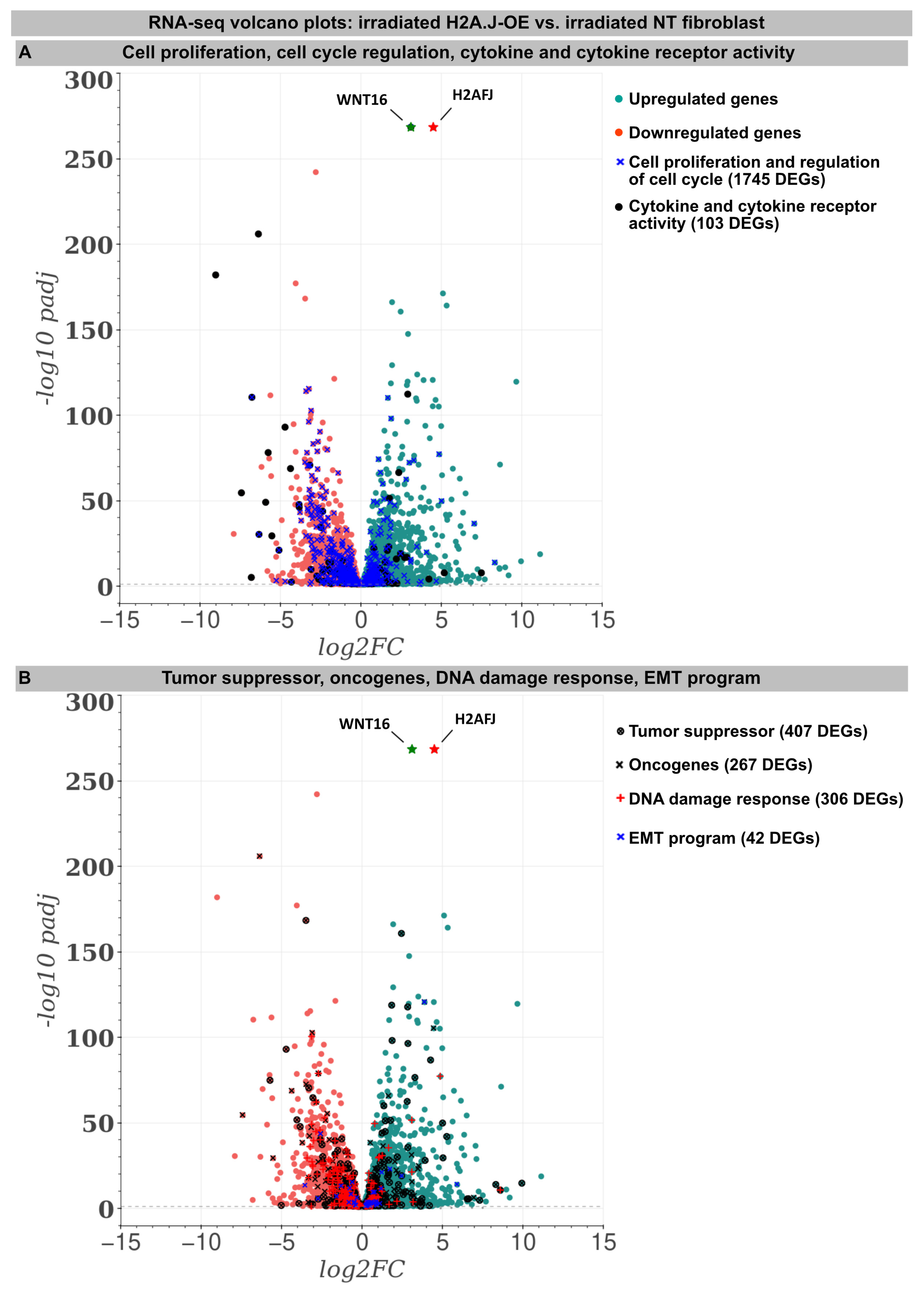 Genes 15 00851 g002