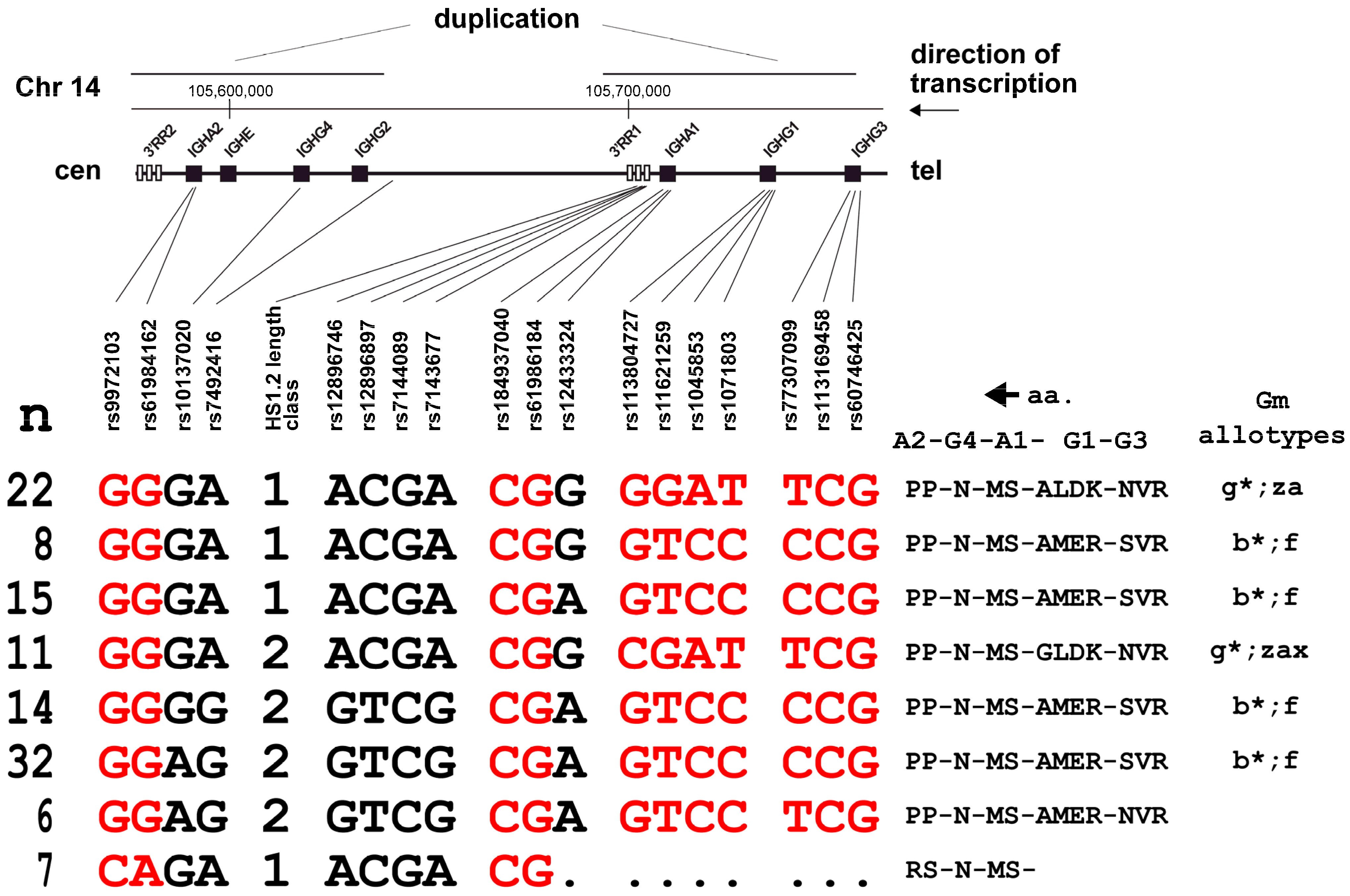 Genes 15 00856 g001