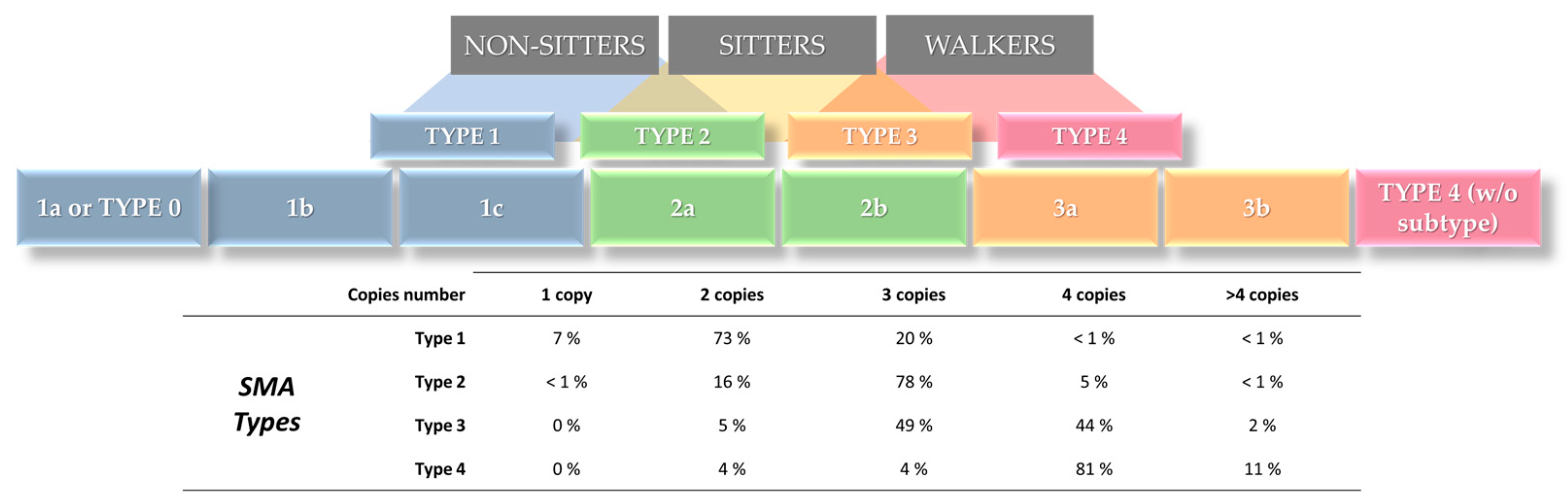 Genes 15 00858 g005 Genes 15 00858 g005