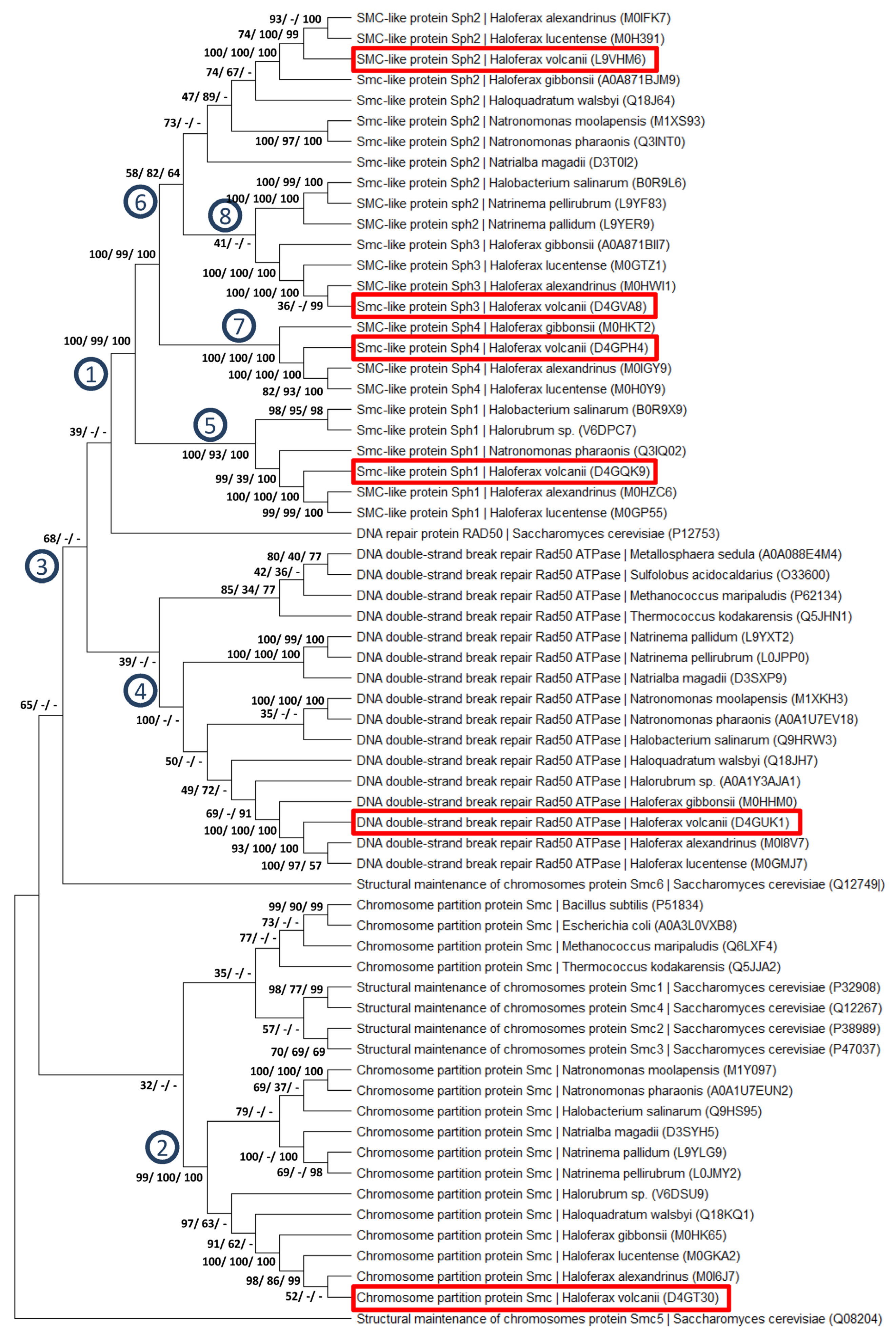 Genes 15 00861 g006 Genes 15 00861 g006