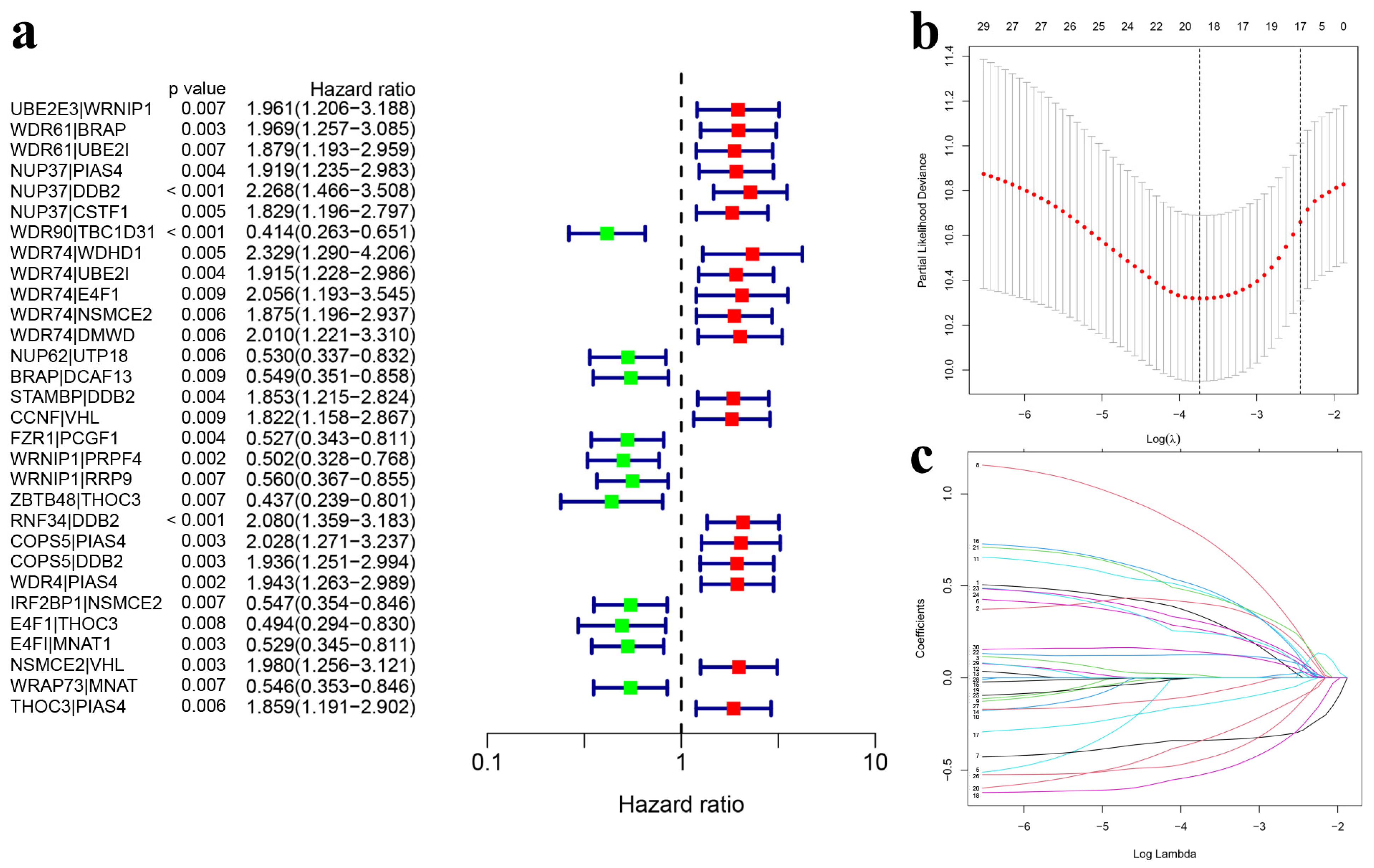Genes 15 00880 g004