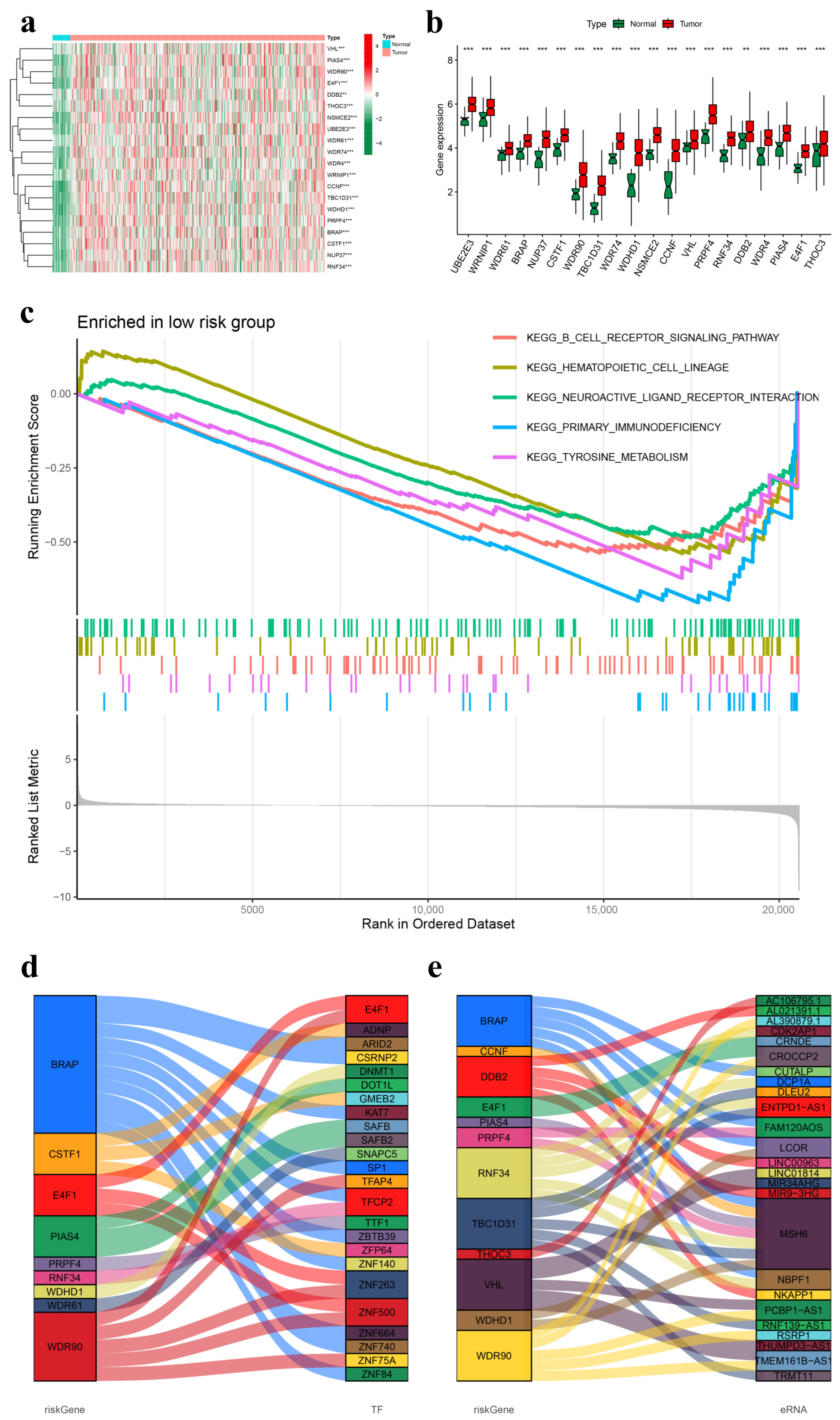 Genes 15 00880 g007