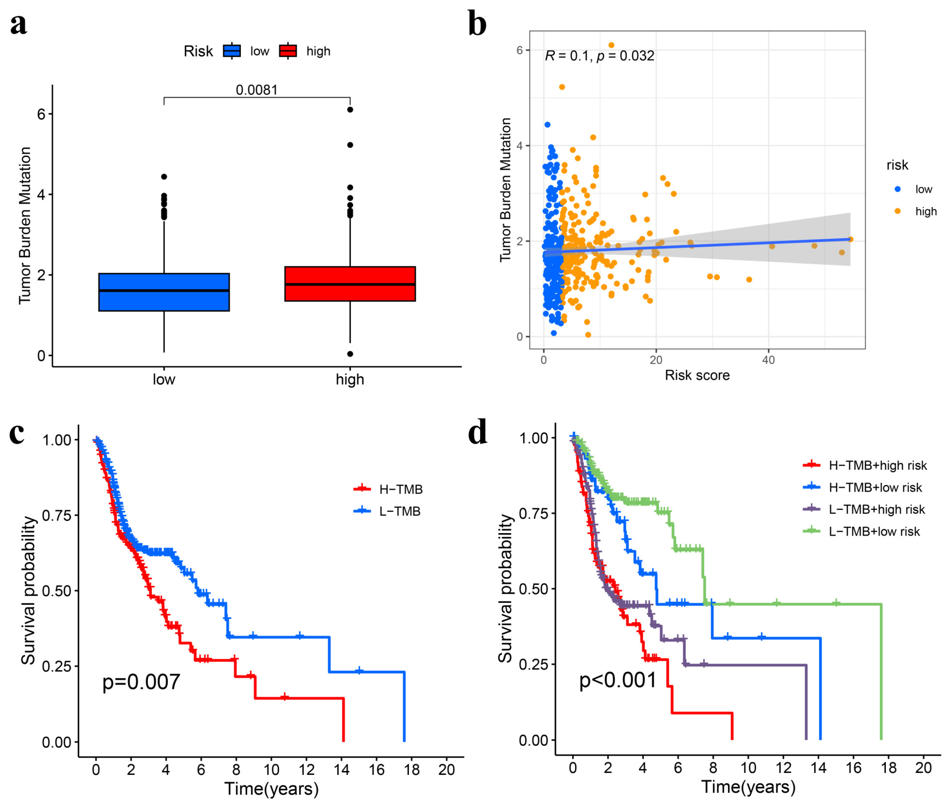 Genes 15 00880 g010