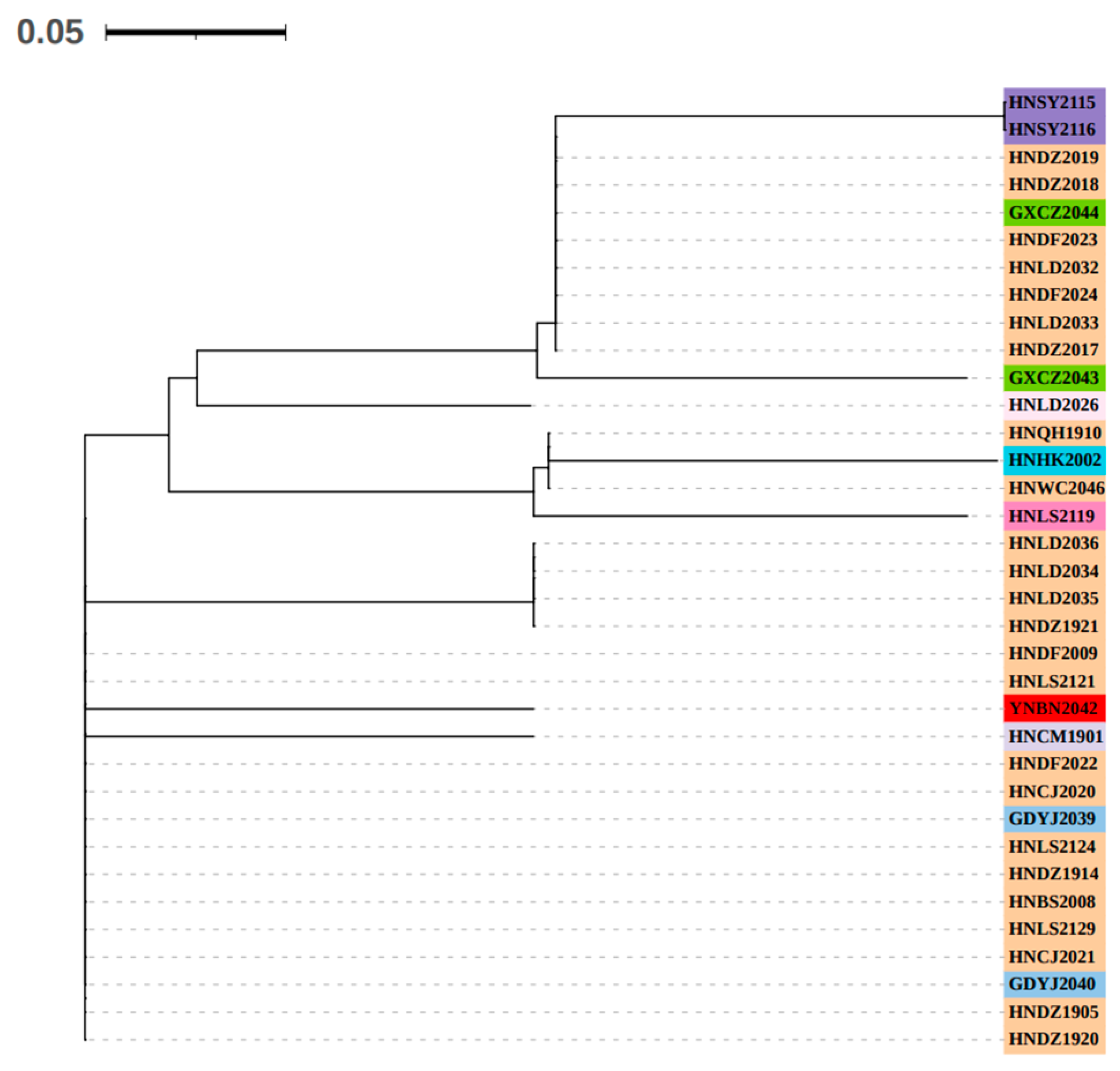 Genes 15 00885 g006