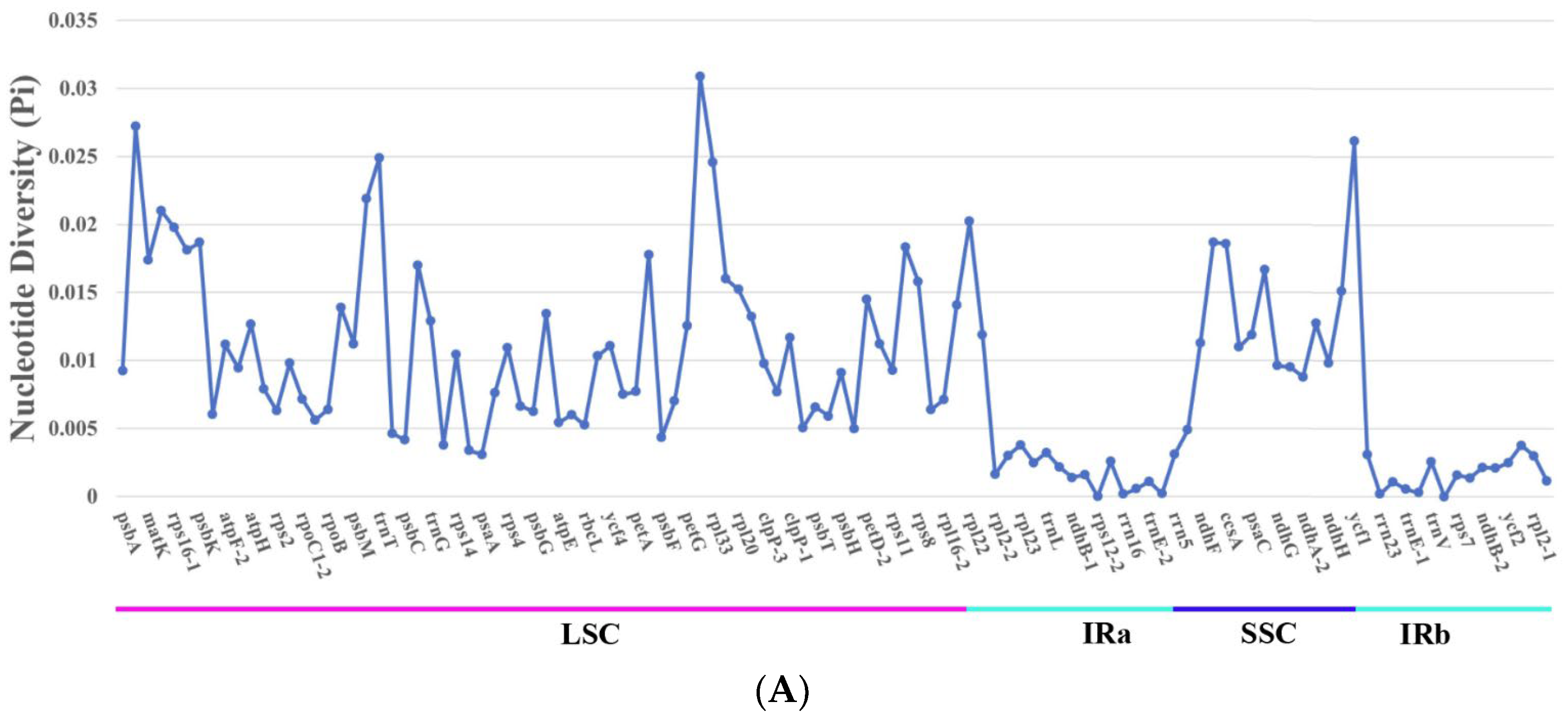 Genes 15 00886 g008a