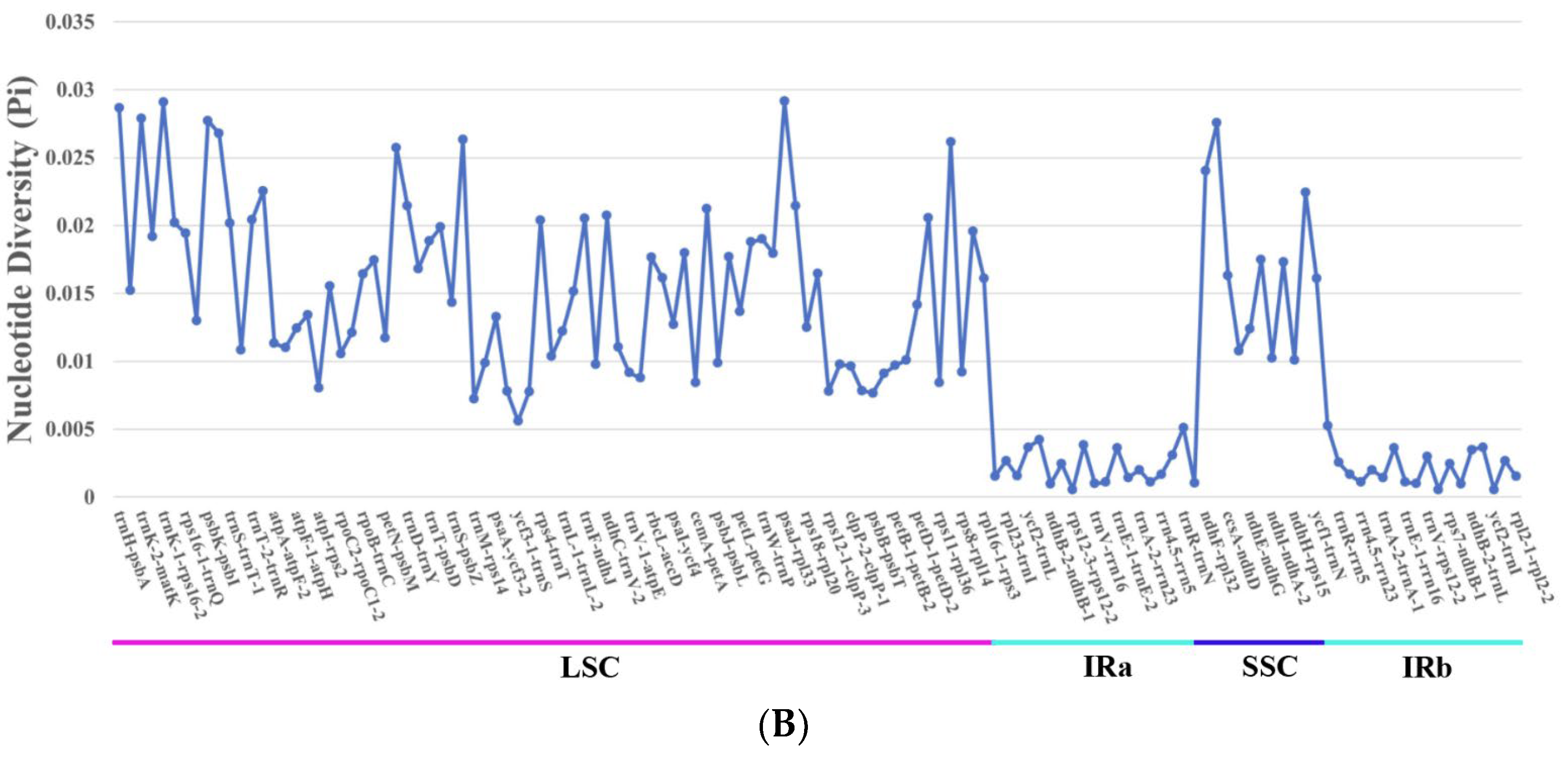 Genes 15 00886 g008b