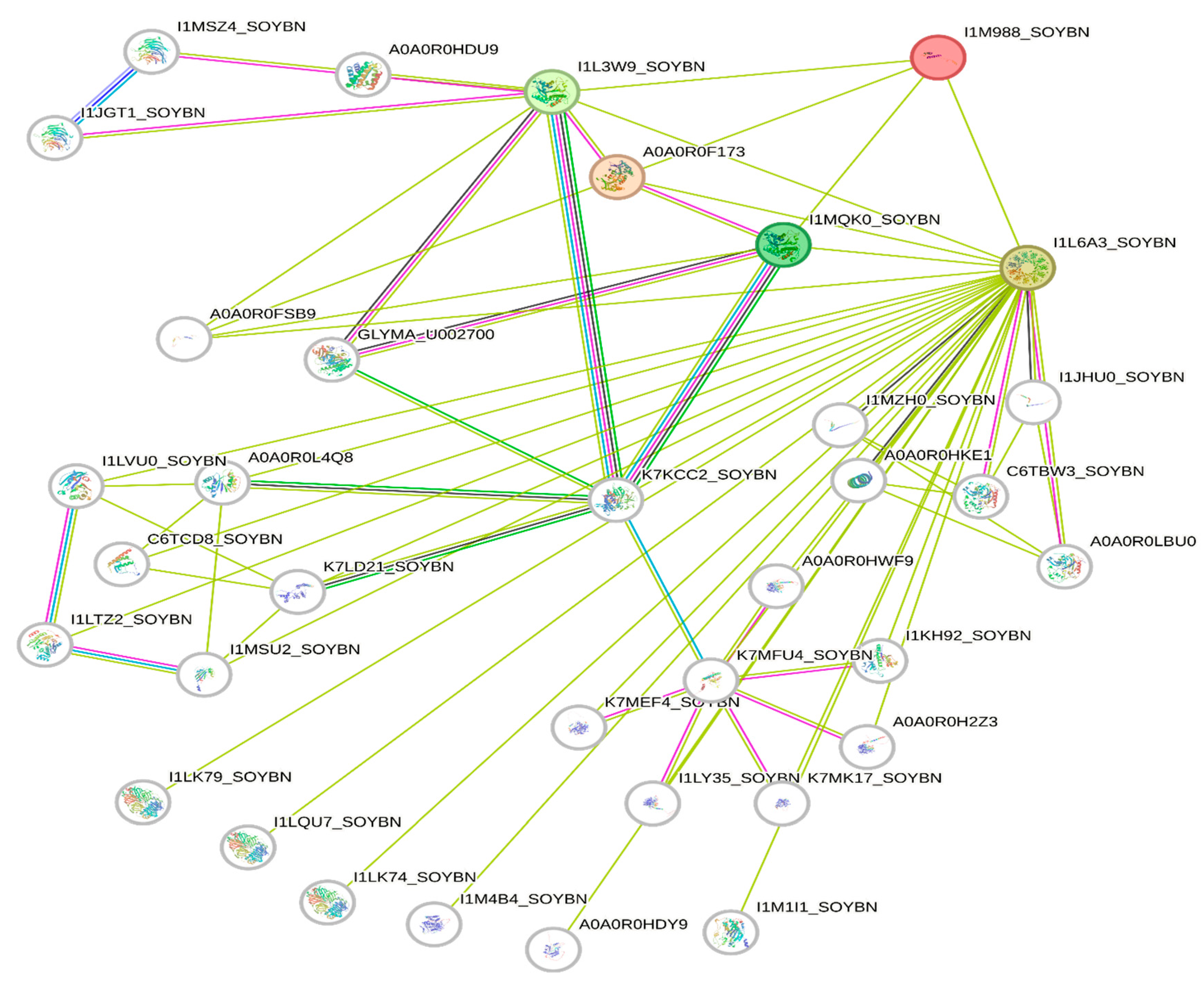 Genes 15 00892 g004 Genes 15 00892 g004