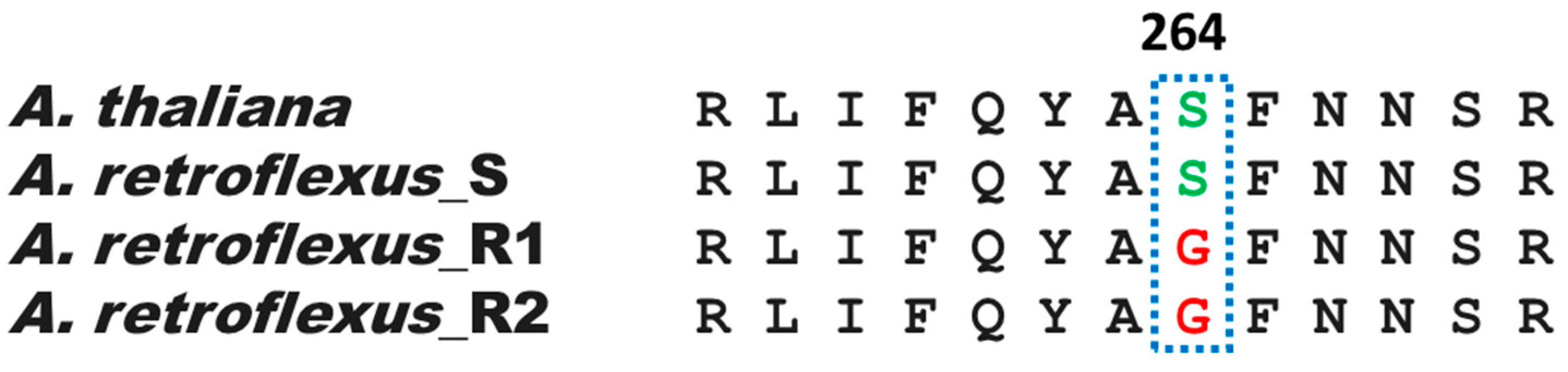Genes 15 00904 g002 Genes 15 00904 g002