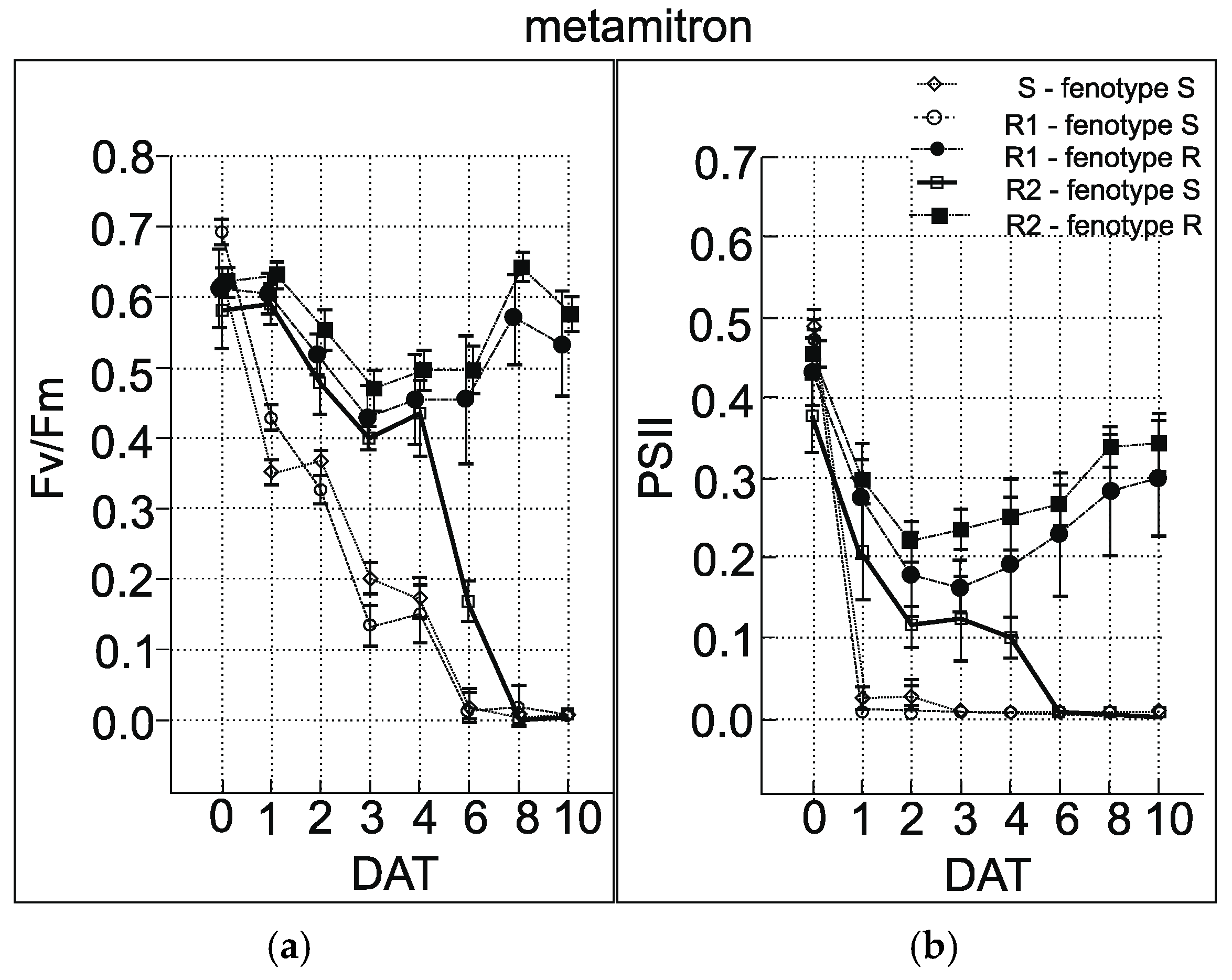 Genes 15 00904 g006 Genes 15 00904 g006