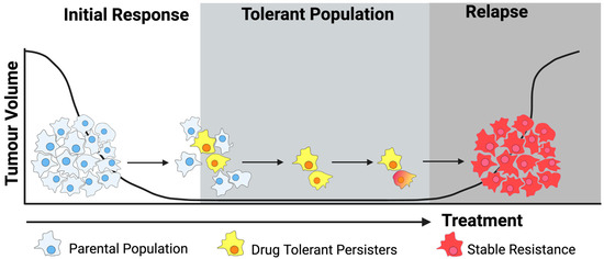 The Potential Links between lncRNAs and Drug Tolerance in