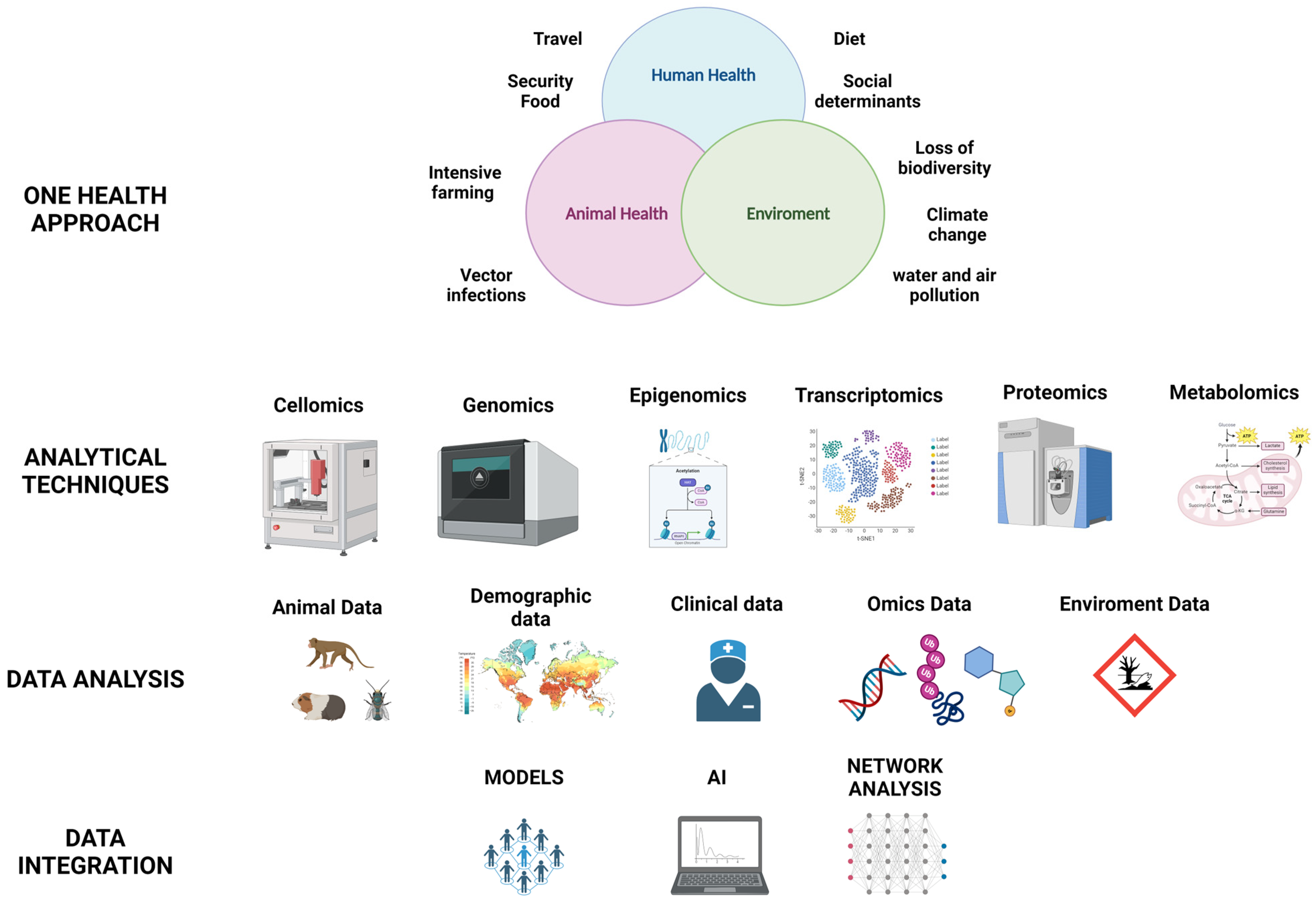 Genes 15 00908 g005 Genes 15 00908 g005
