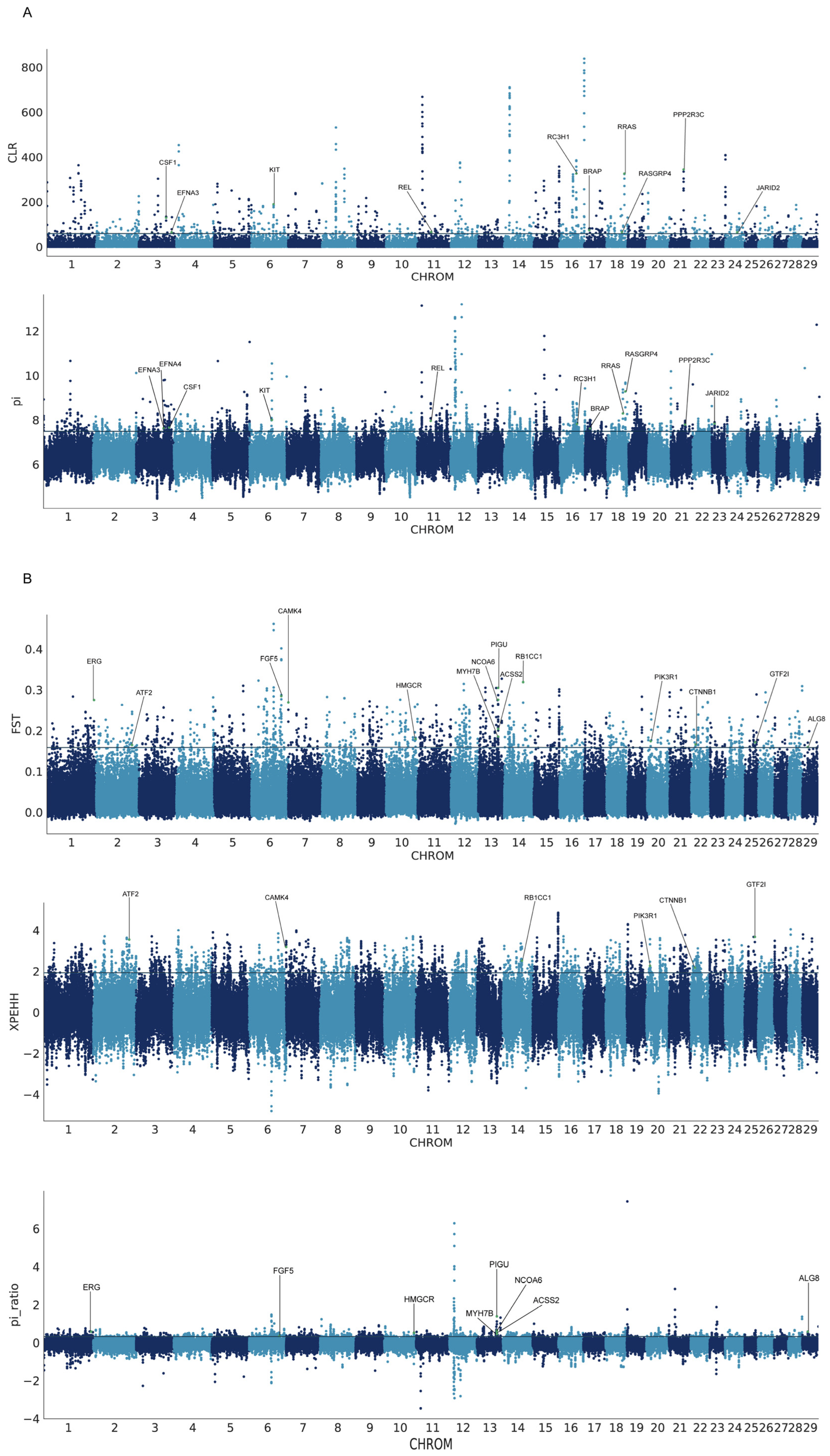 Genes 15 00909 g004
