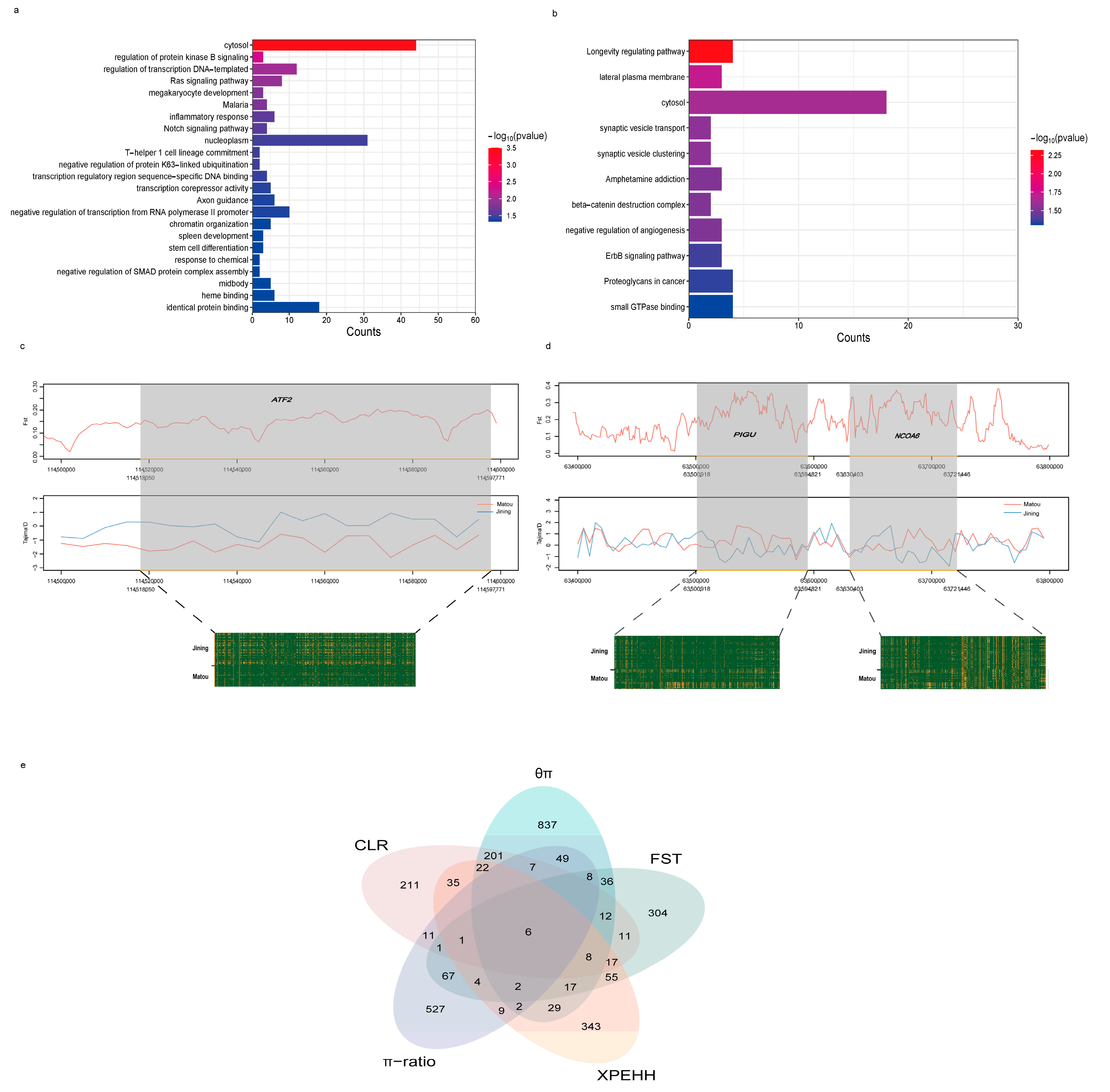Genes 15 00909 g005